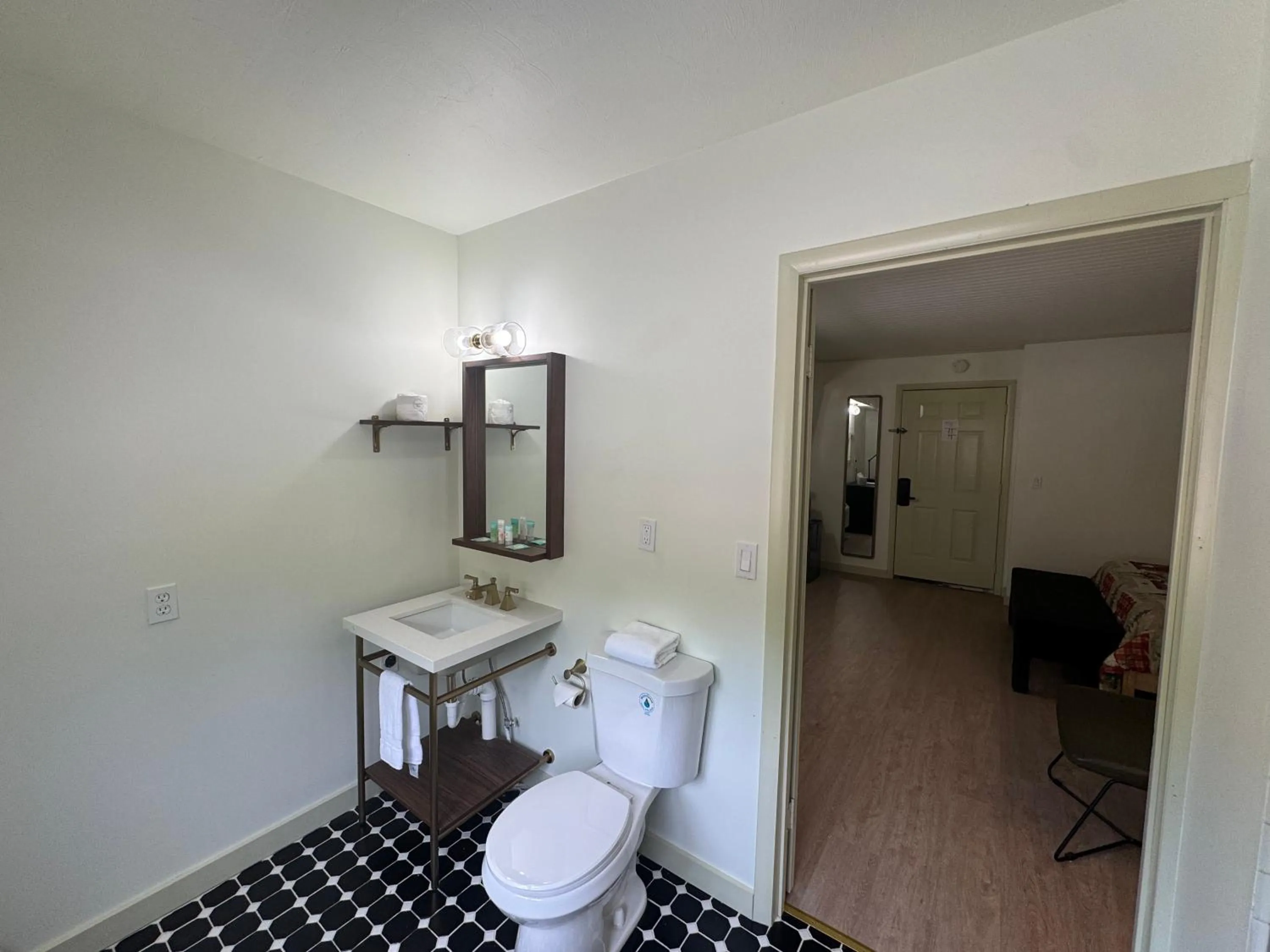 Toilet in Ski Mountain Lodge