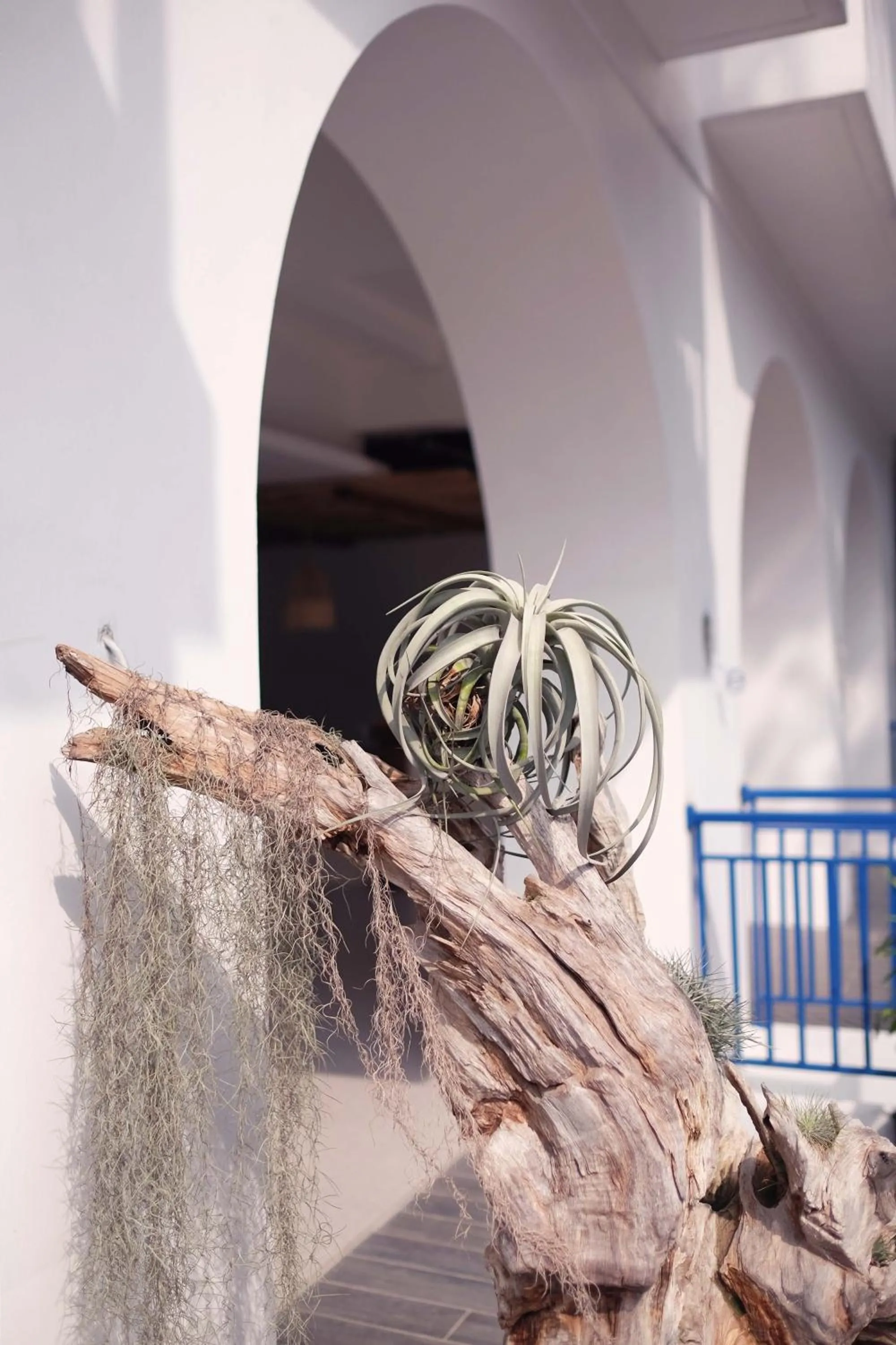 Property building in Little Mykonos