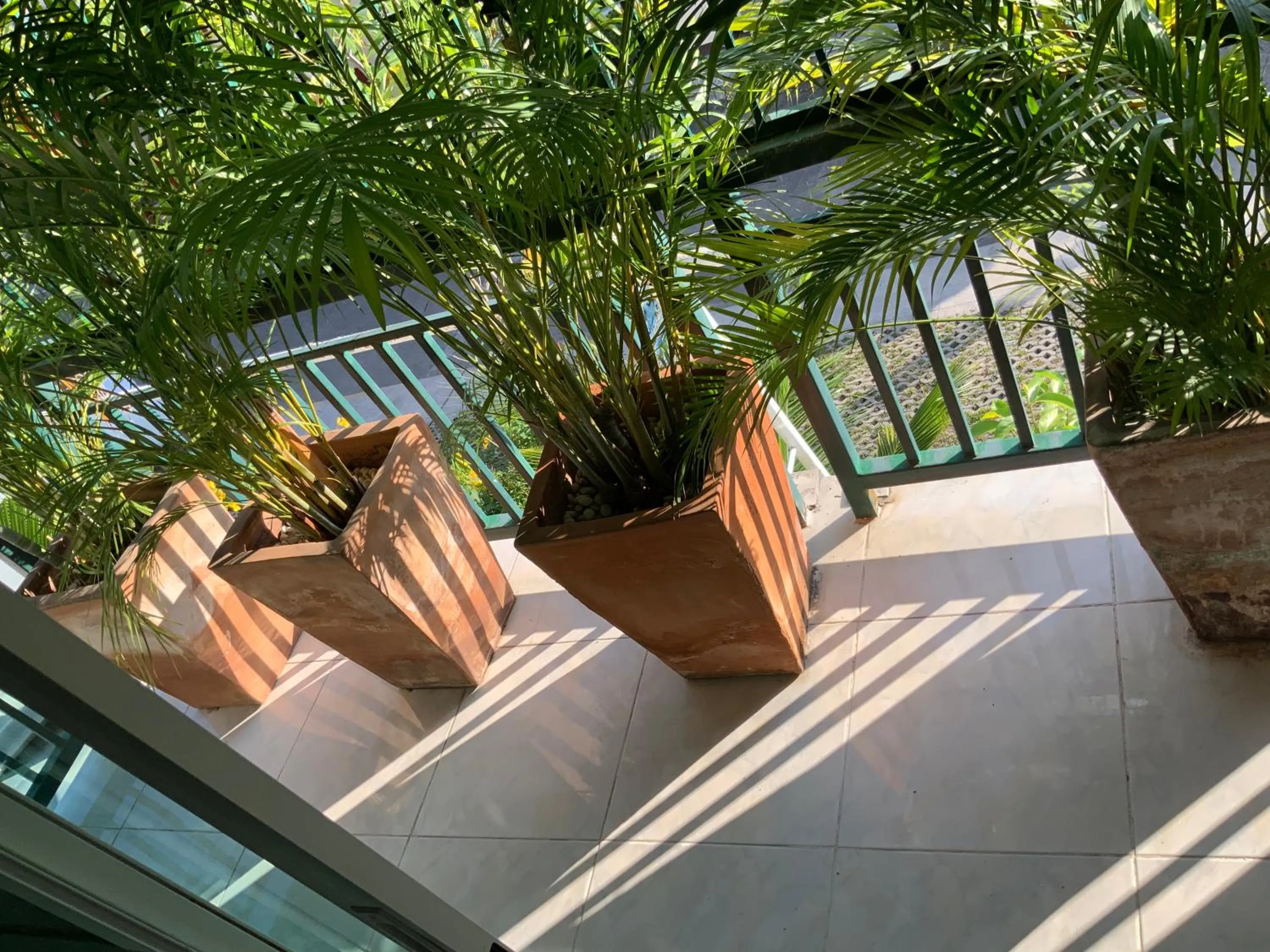 Balcony/Terrace in Lemon Guesthouse
