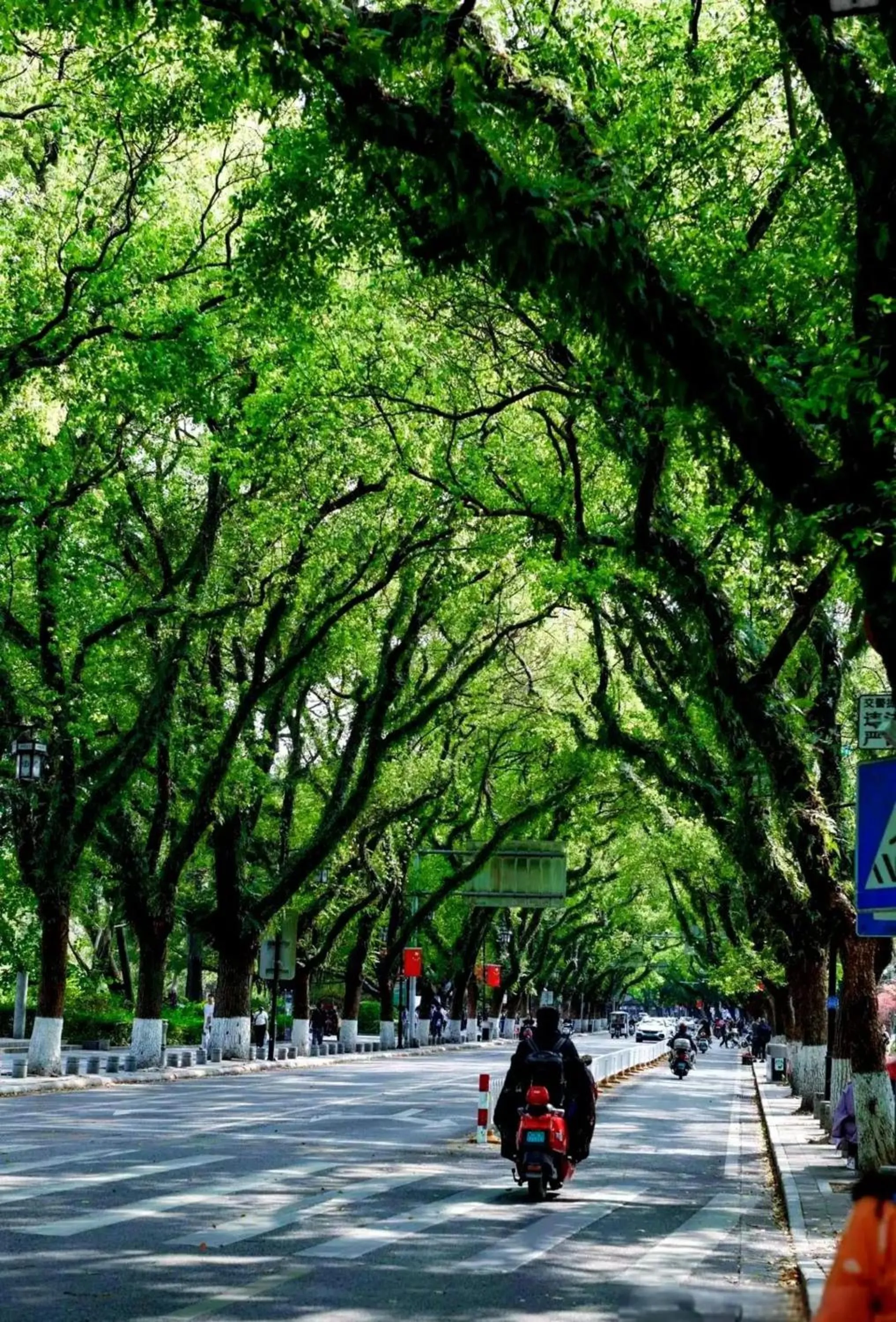 Neighbourhood in Riverside Wing Hotel Guilin