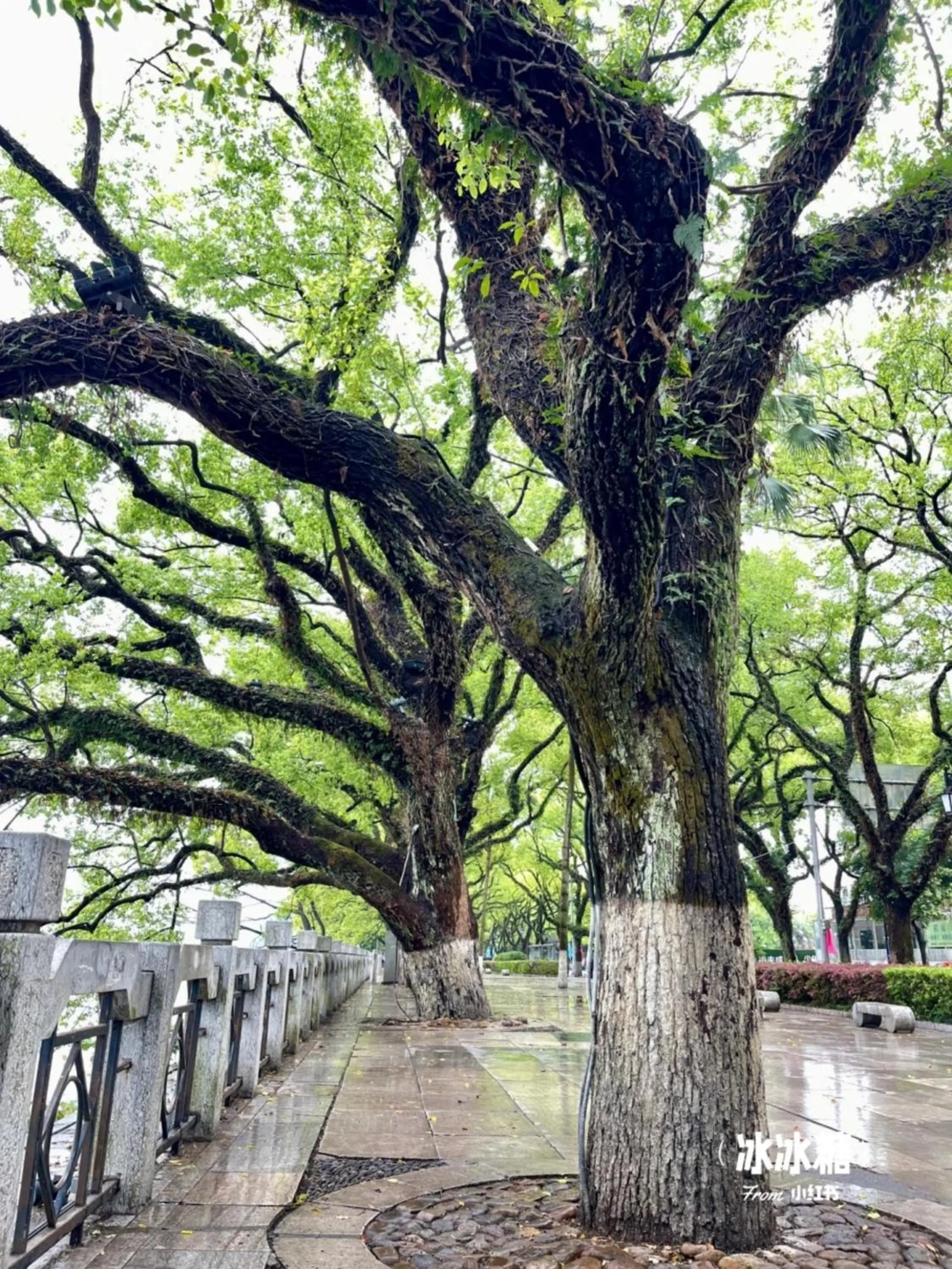 Neighbourhood in Riverside Wing Hotel Guilin