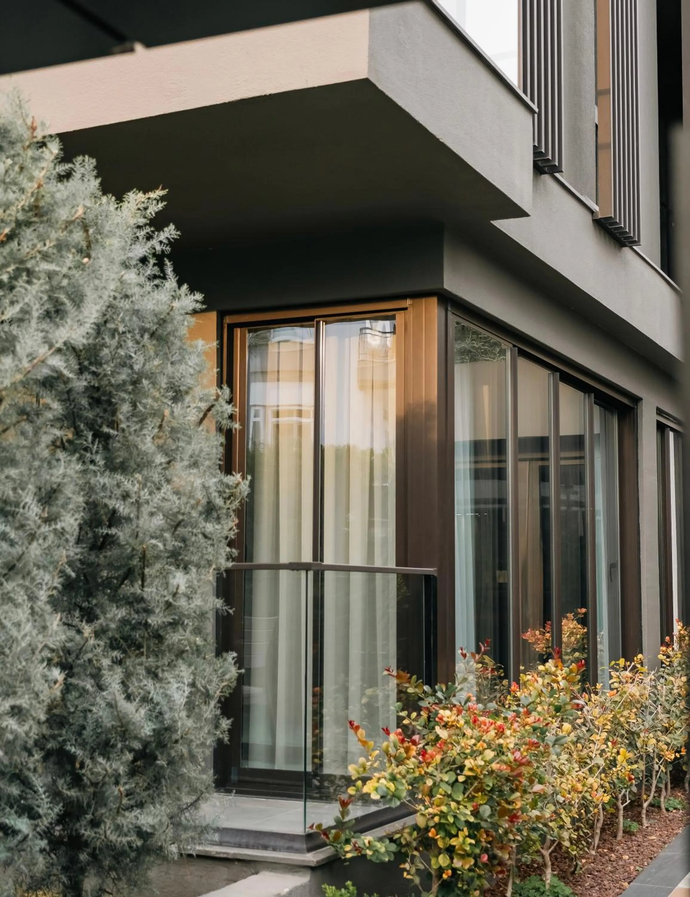 Garden in Vesta Rooms