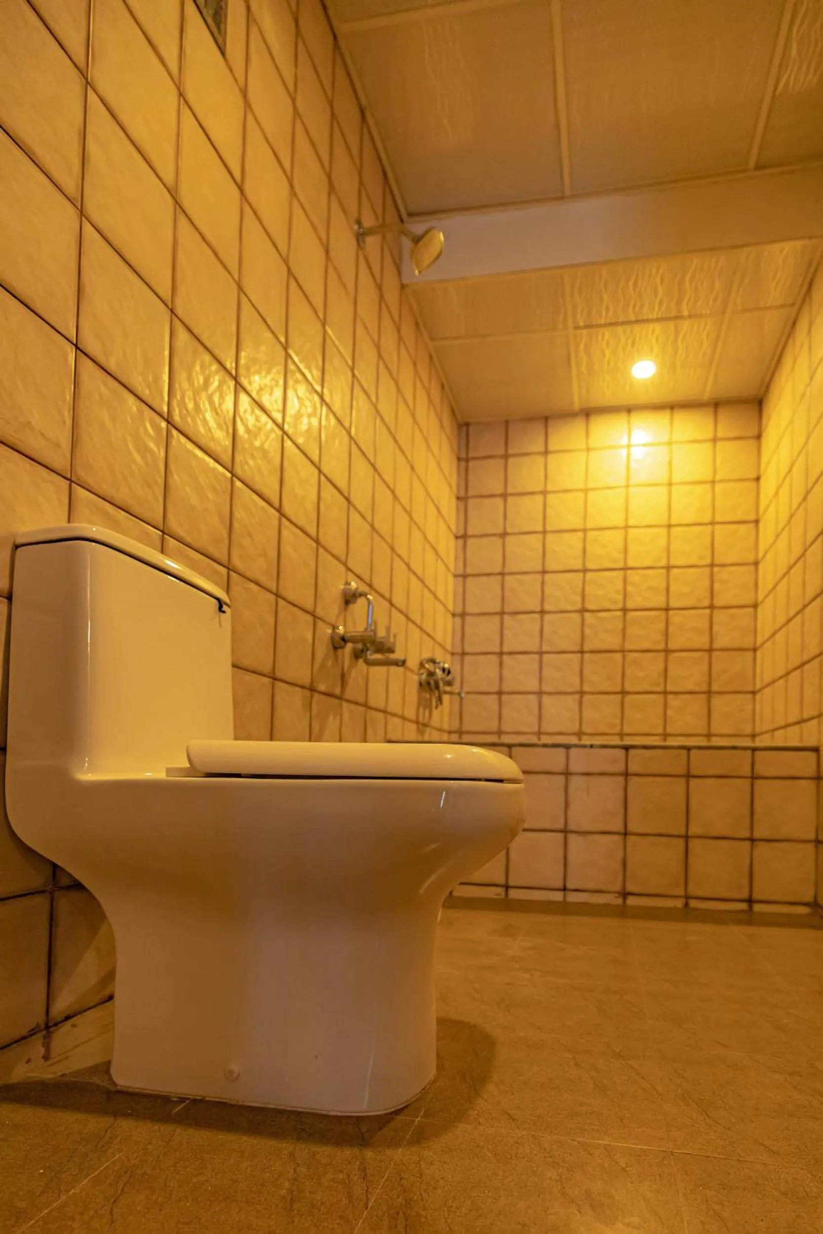 Shower in Hotel SRM Grandeurs