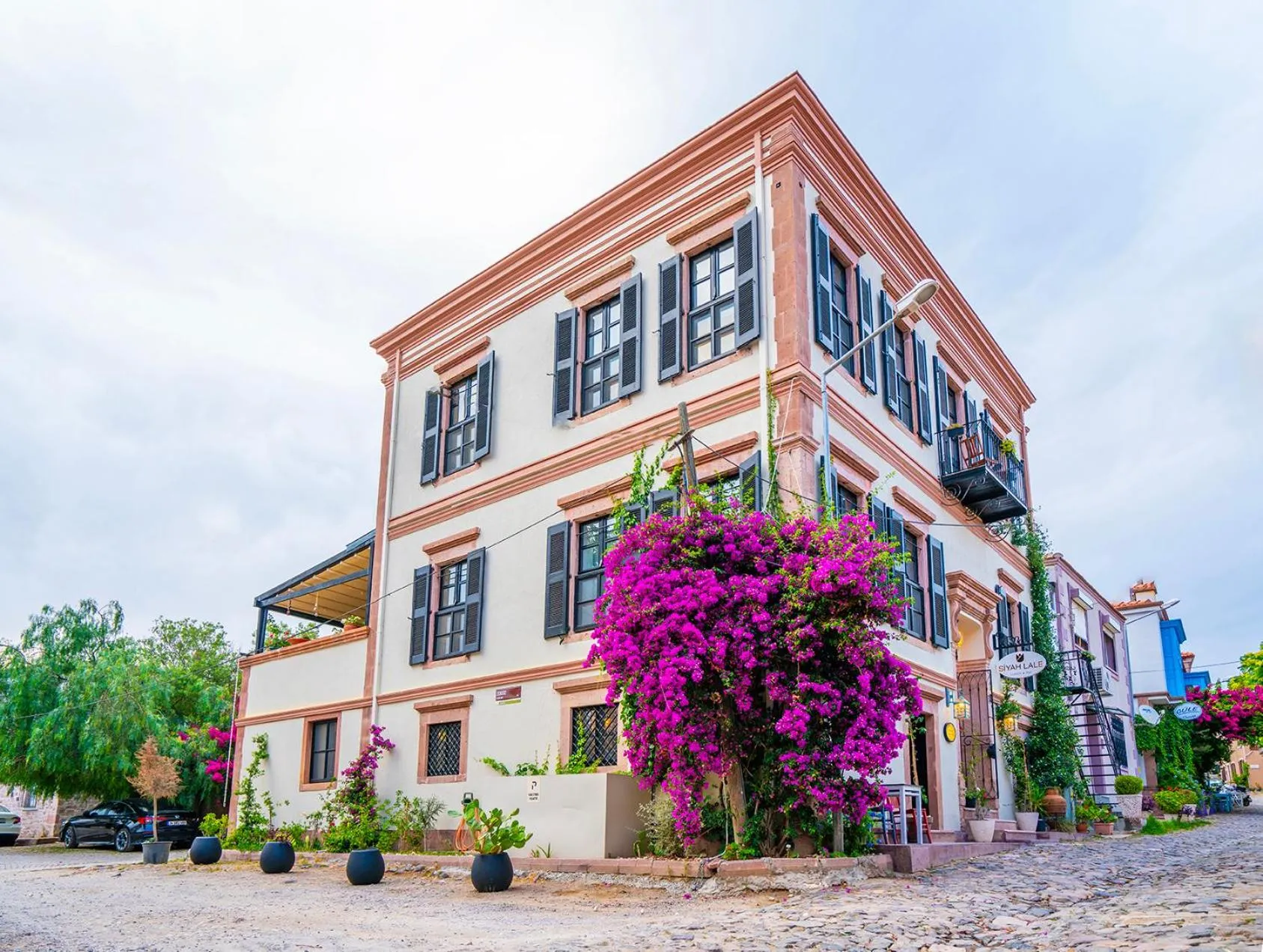 Siyah Lale Cunda 1841