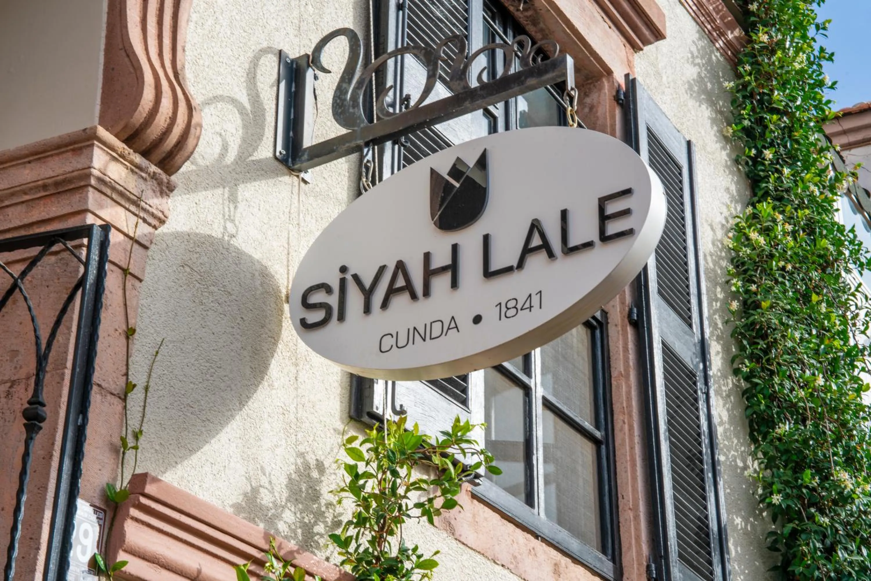 Siyah Lale Cunda 1841