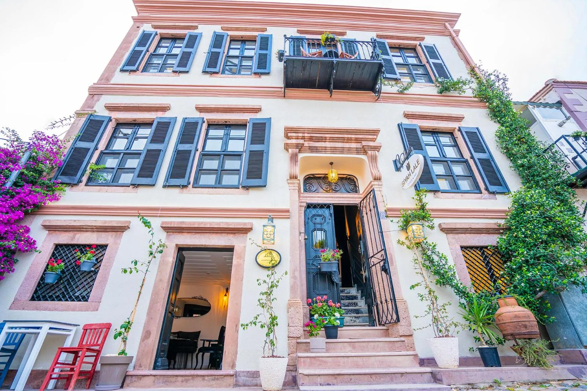 Siyah Lale Cunda 1841