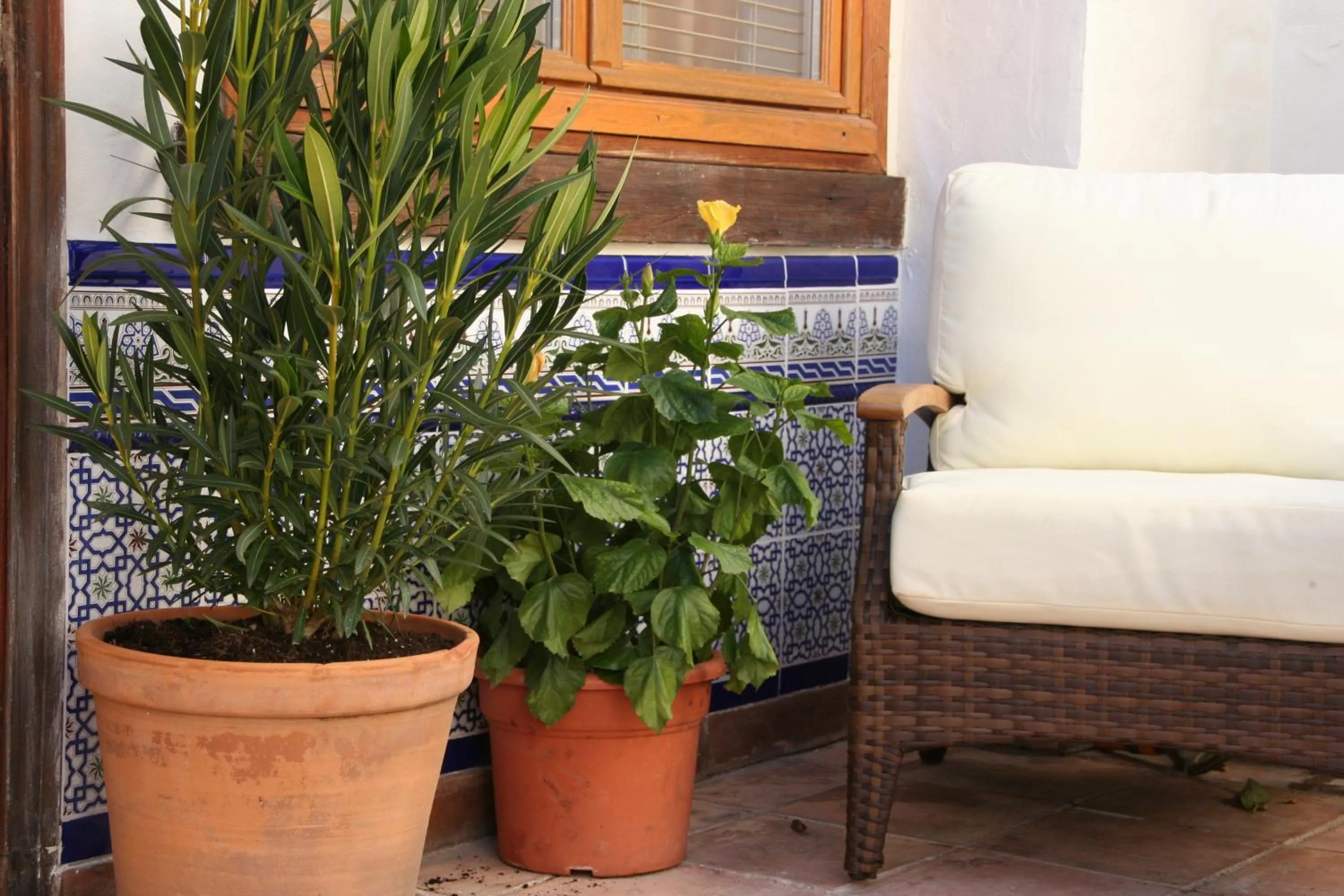 Balcony/Terrace in Boutique Hotel La Posada del Angel Ojén