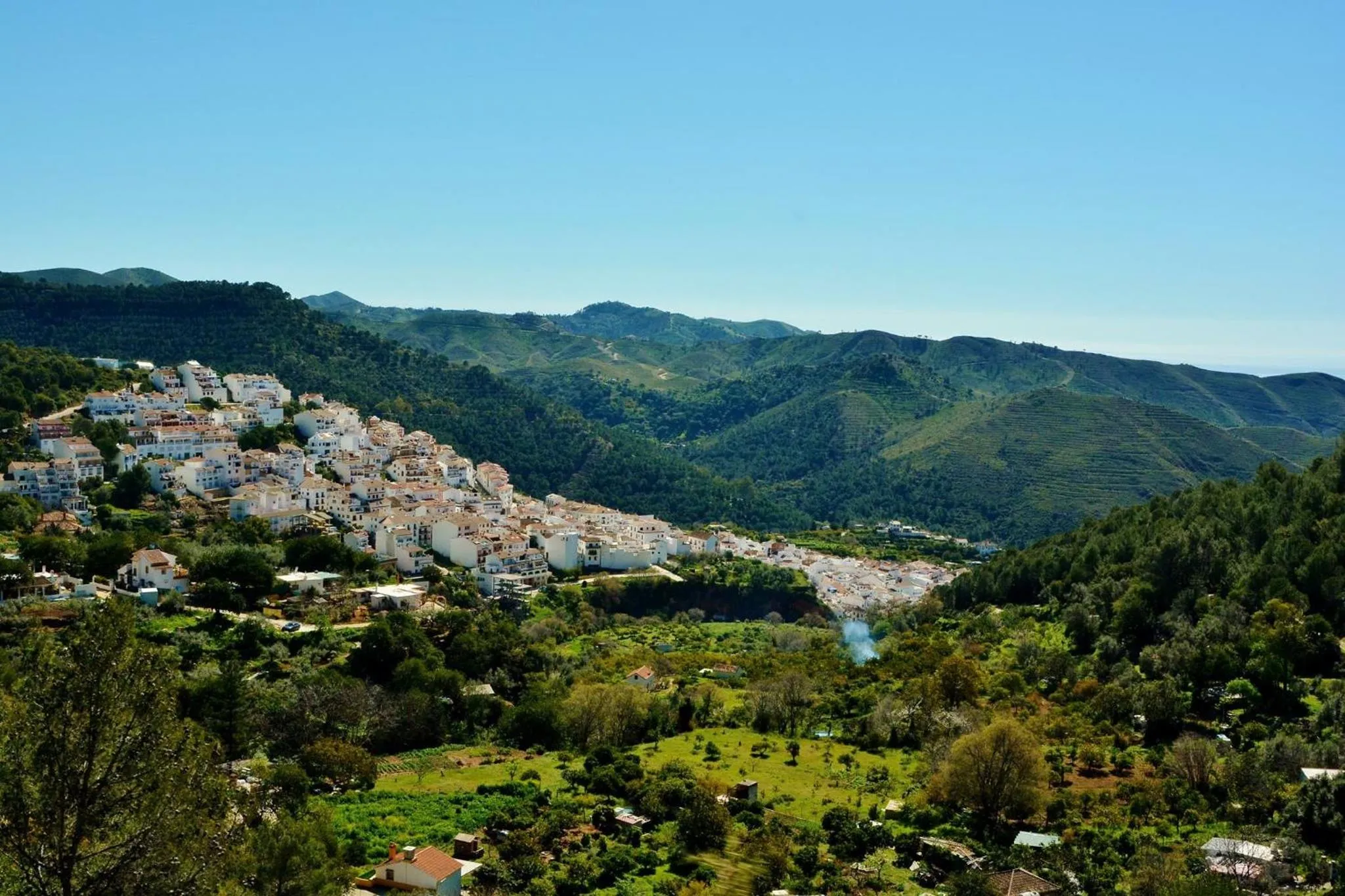 Mountain view in Boutique Hotel La Posada del Angel Ojén