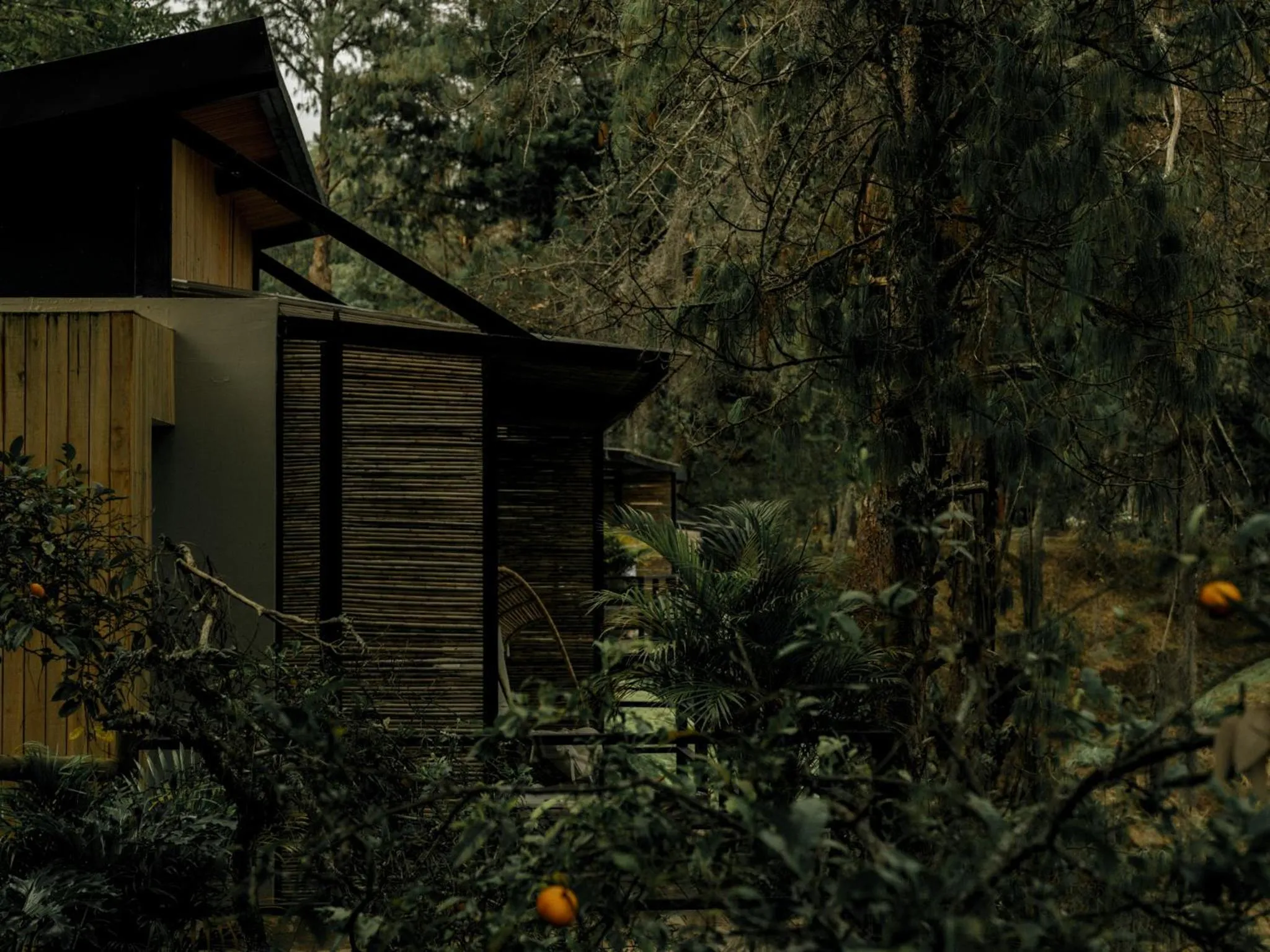 Off site in La Pausa Hotelbistro