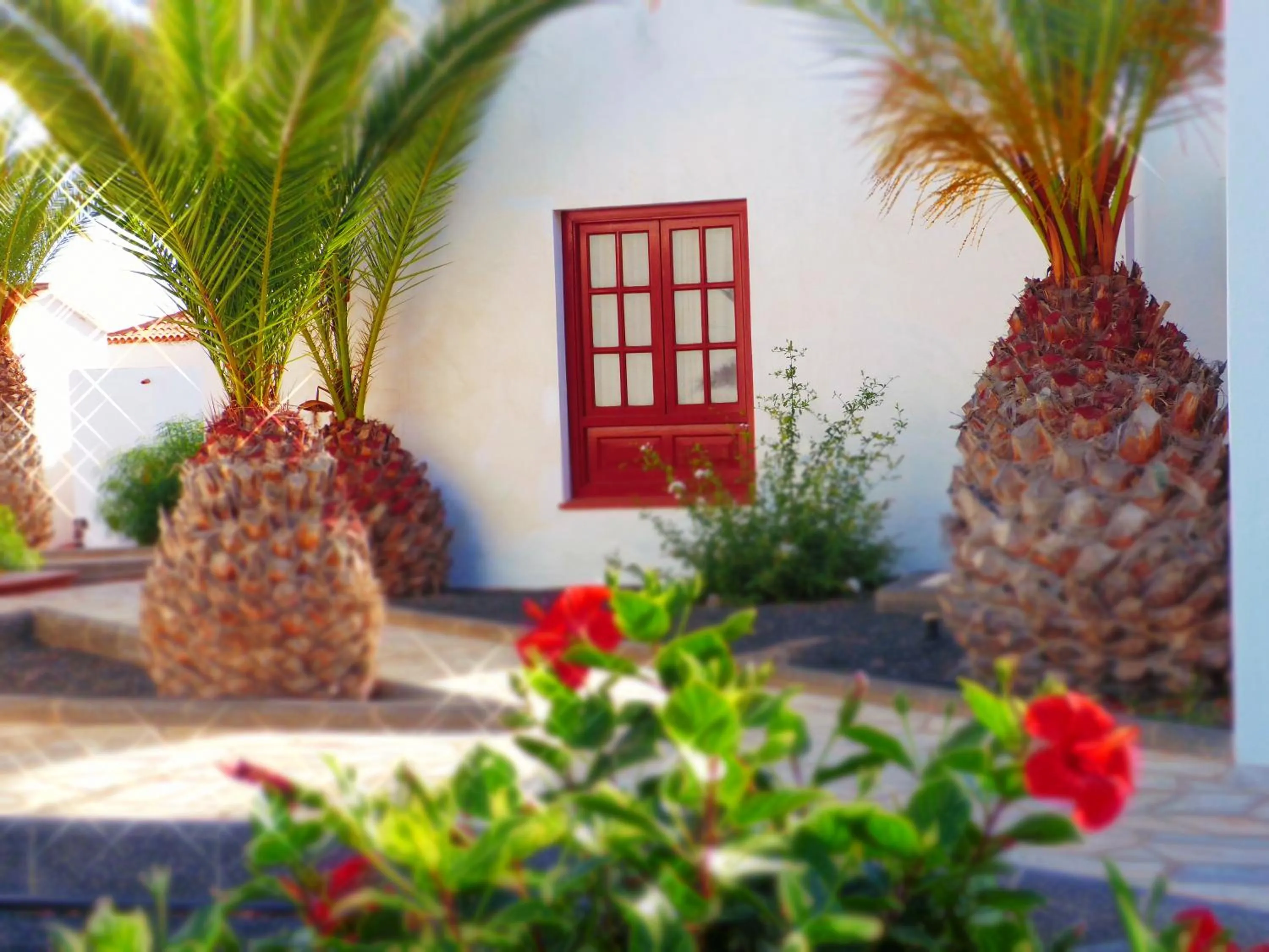 Area and facilities in Bungalows Castillo Beach