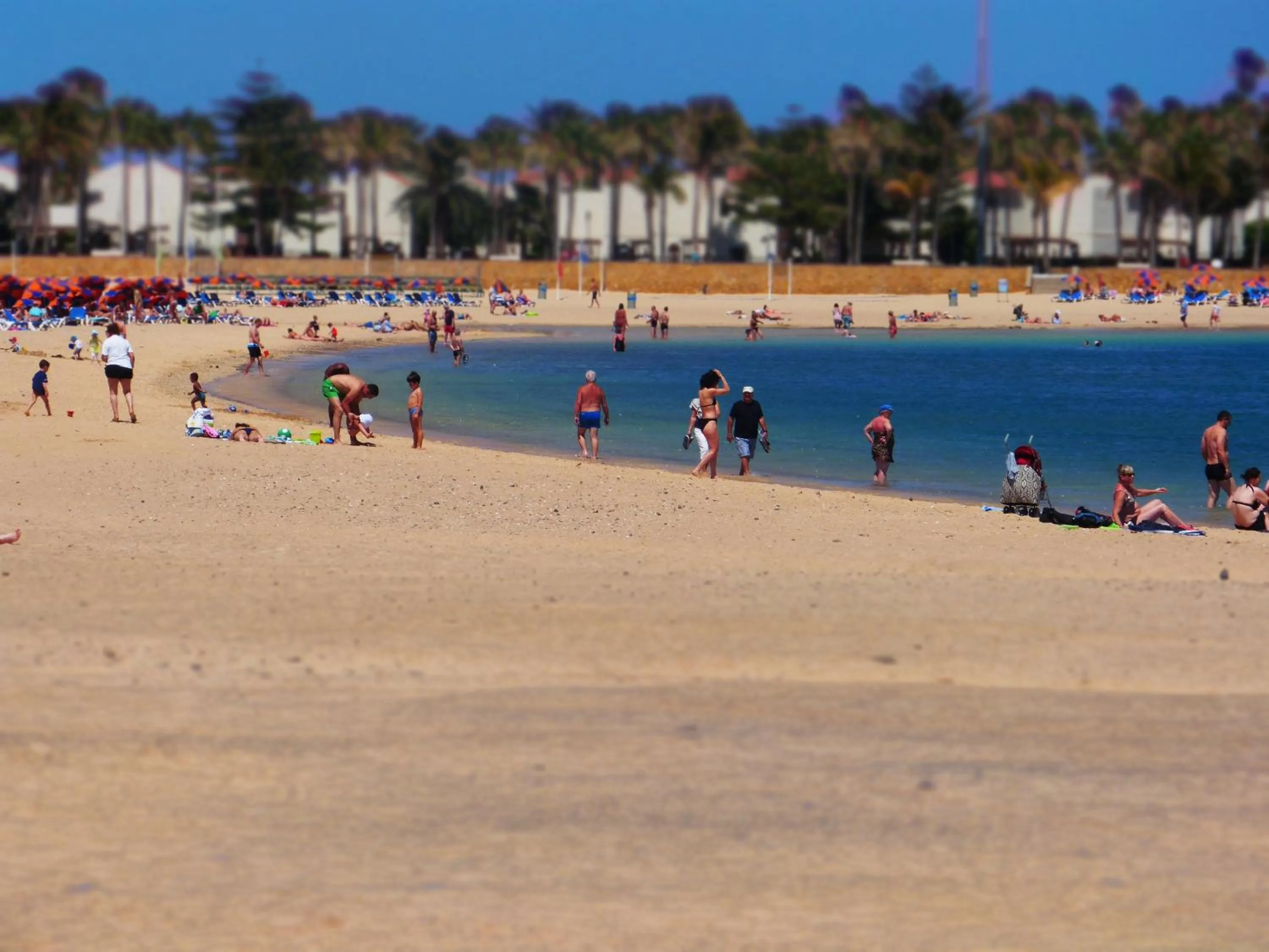 Area and facilities in Bungalows Castillo Beach