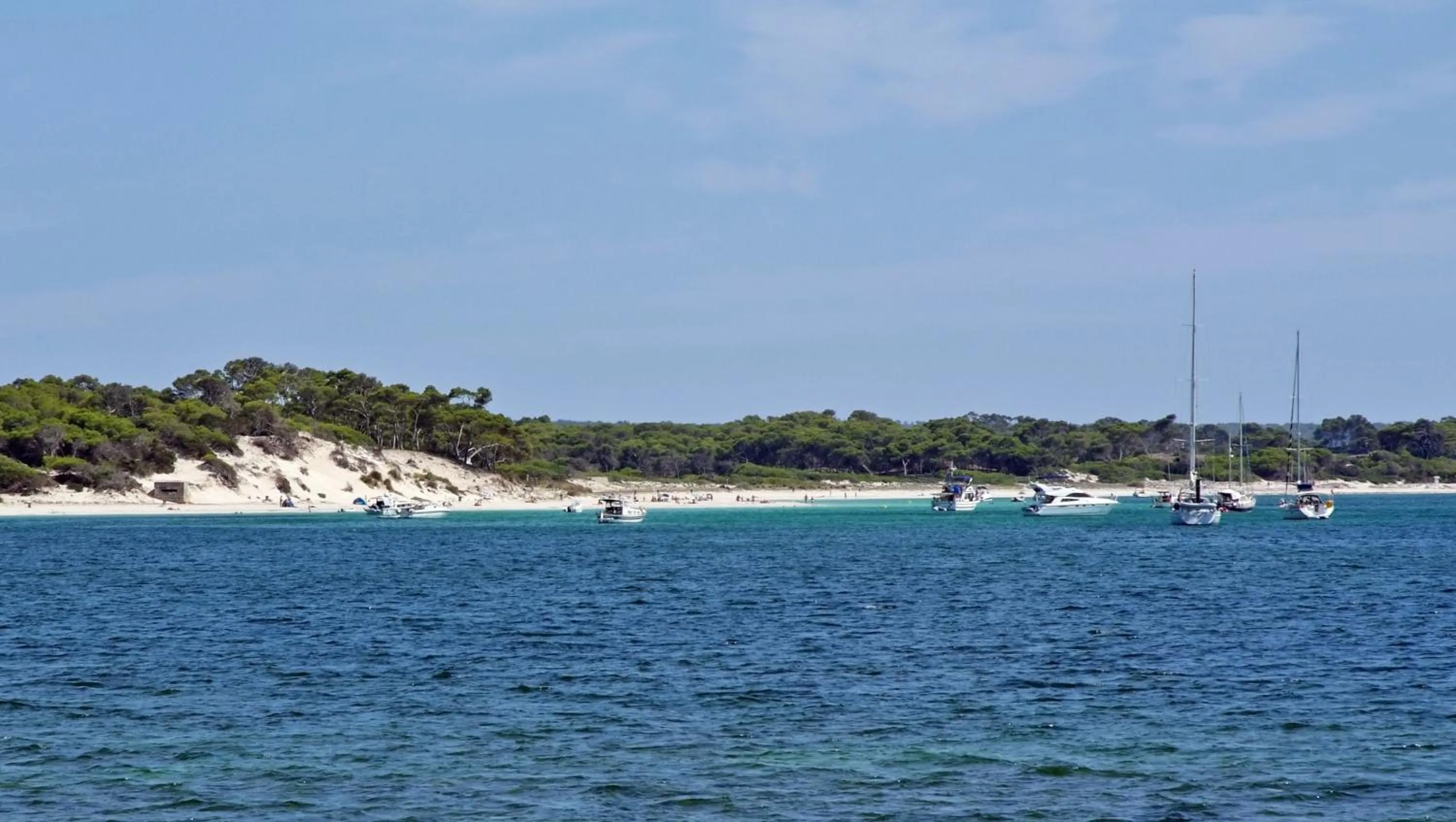 Area and facilities in Aparthotel Isla de Cabrera