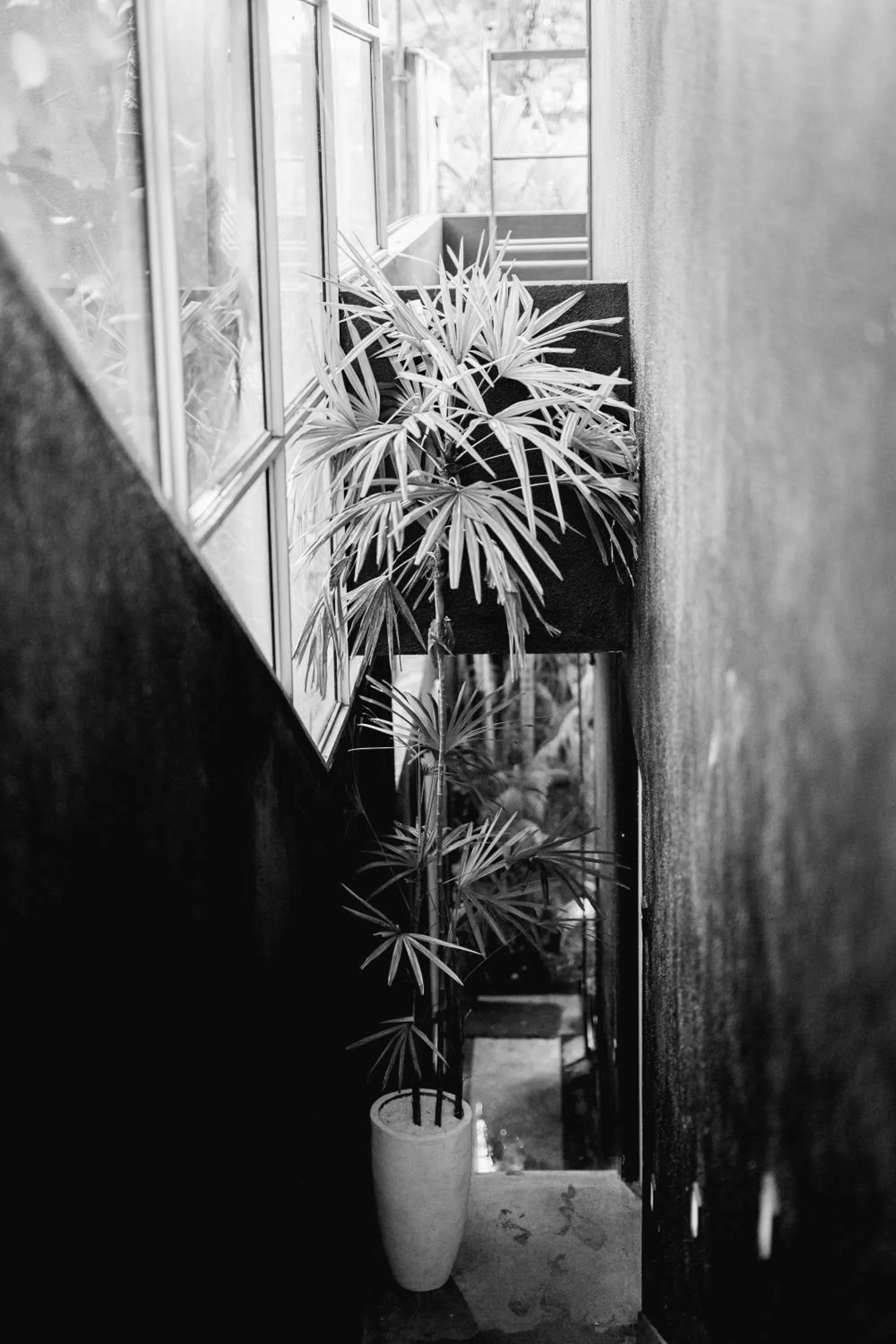 Decorative detail in Sugar Hostel Weligama - Coliving & Coworking