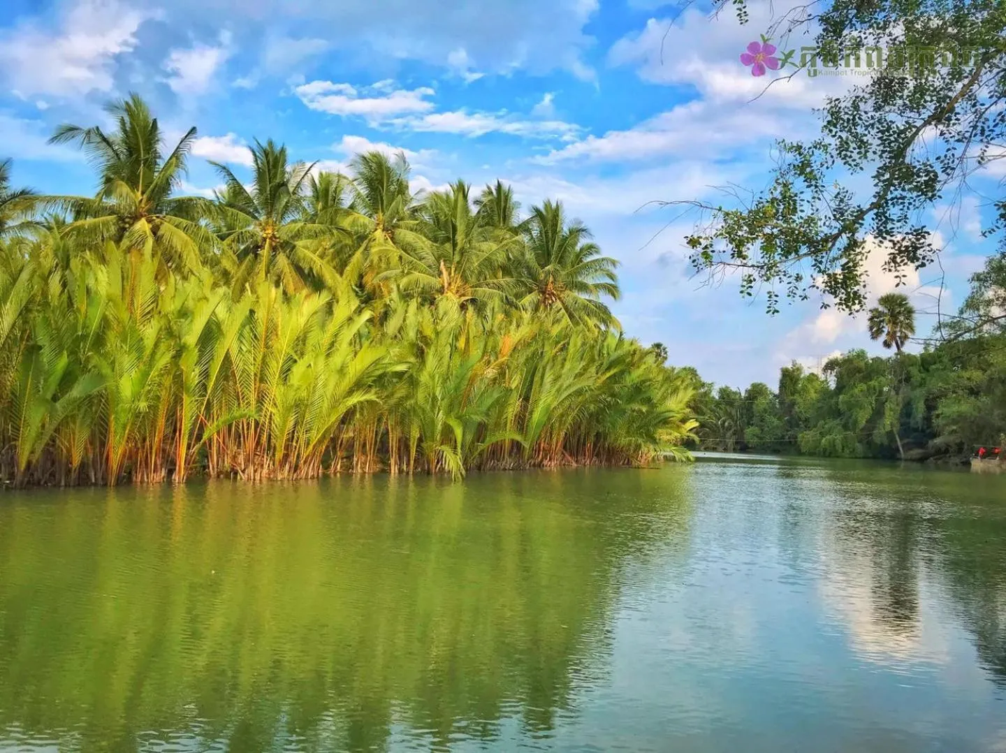 Lake view in Kampot Tropical Village