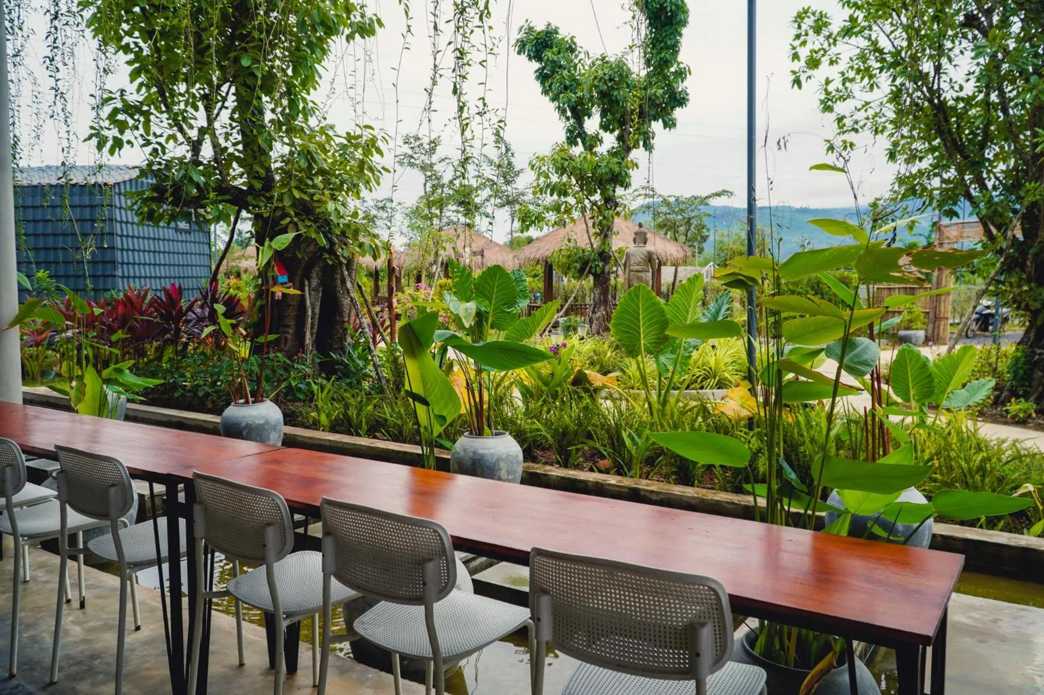 Day in Kampot Tropical Village