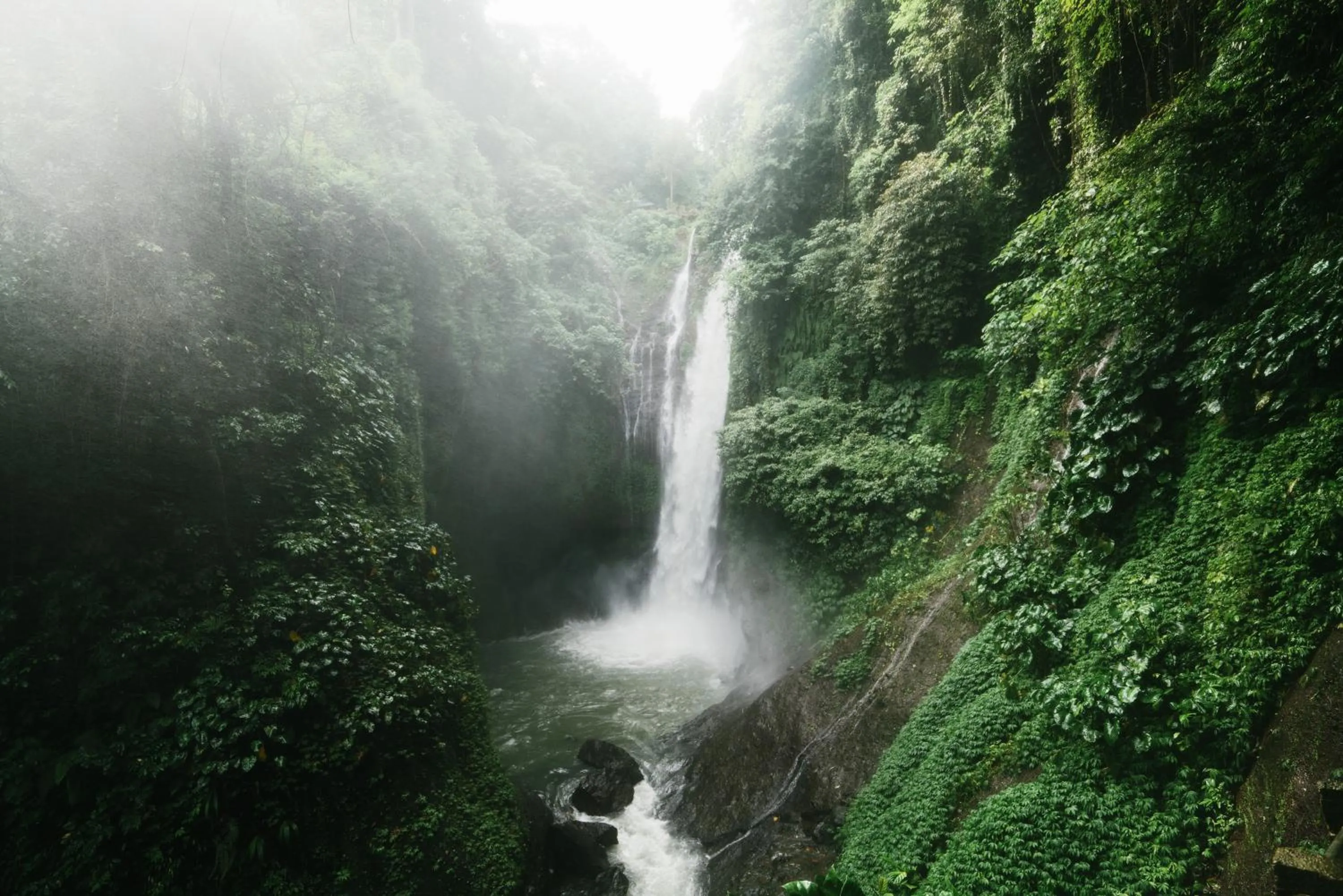 Natural landscape in Maha Hills Resort by Mahaprana Experience