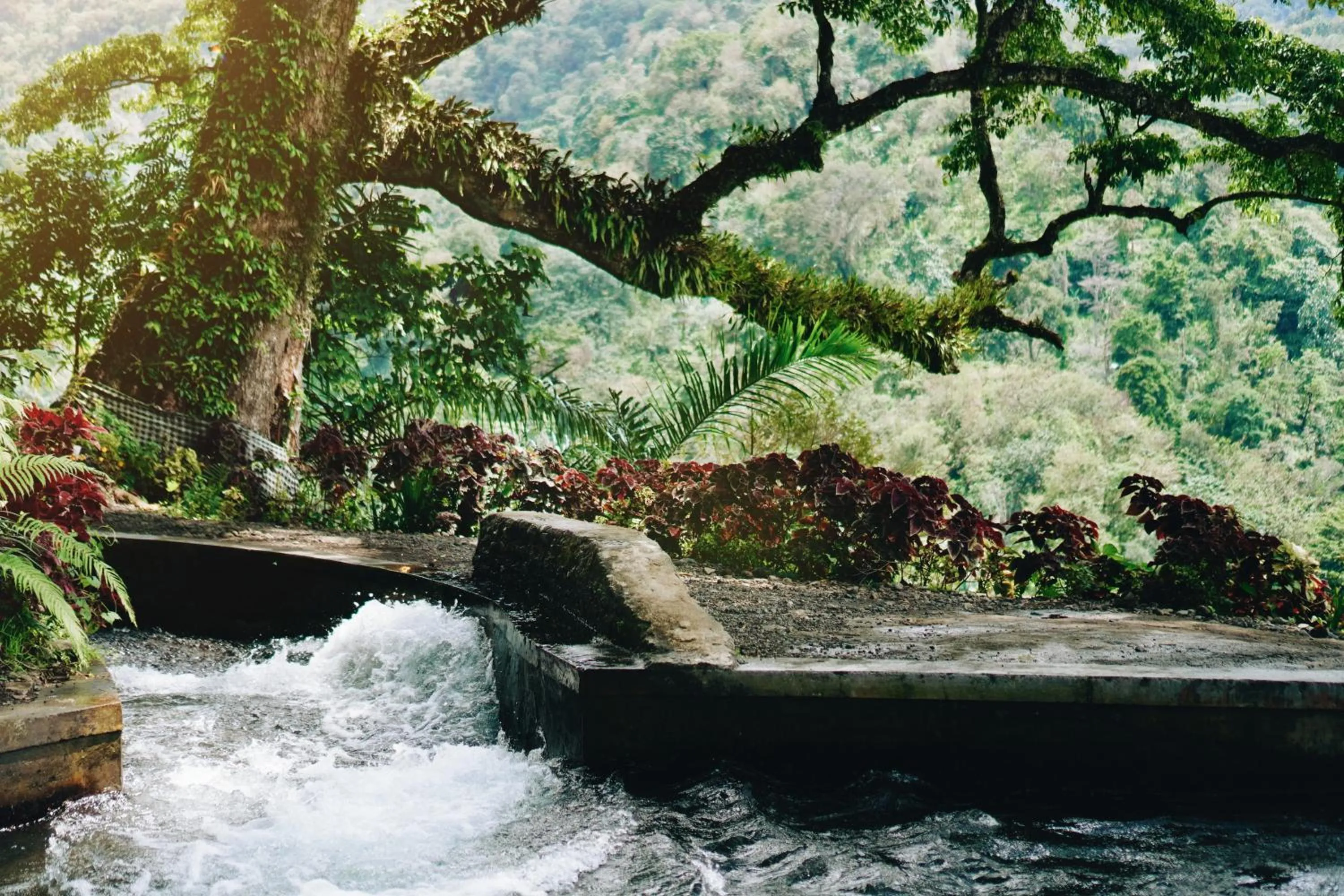 Natural landscape in Maha Hills Resort by Mahaprana Experience