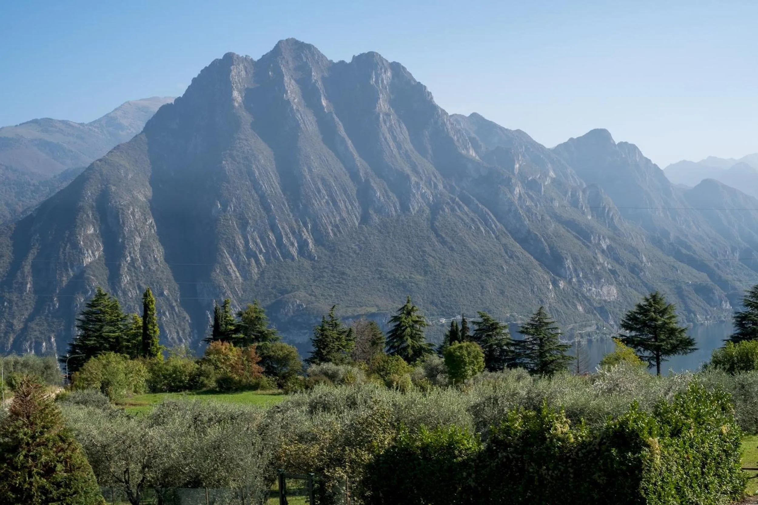 Other in La casa di Sarah