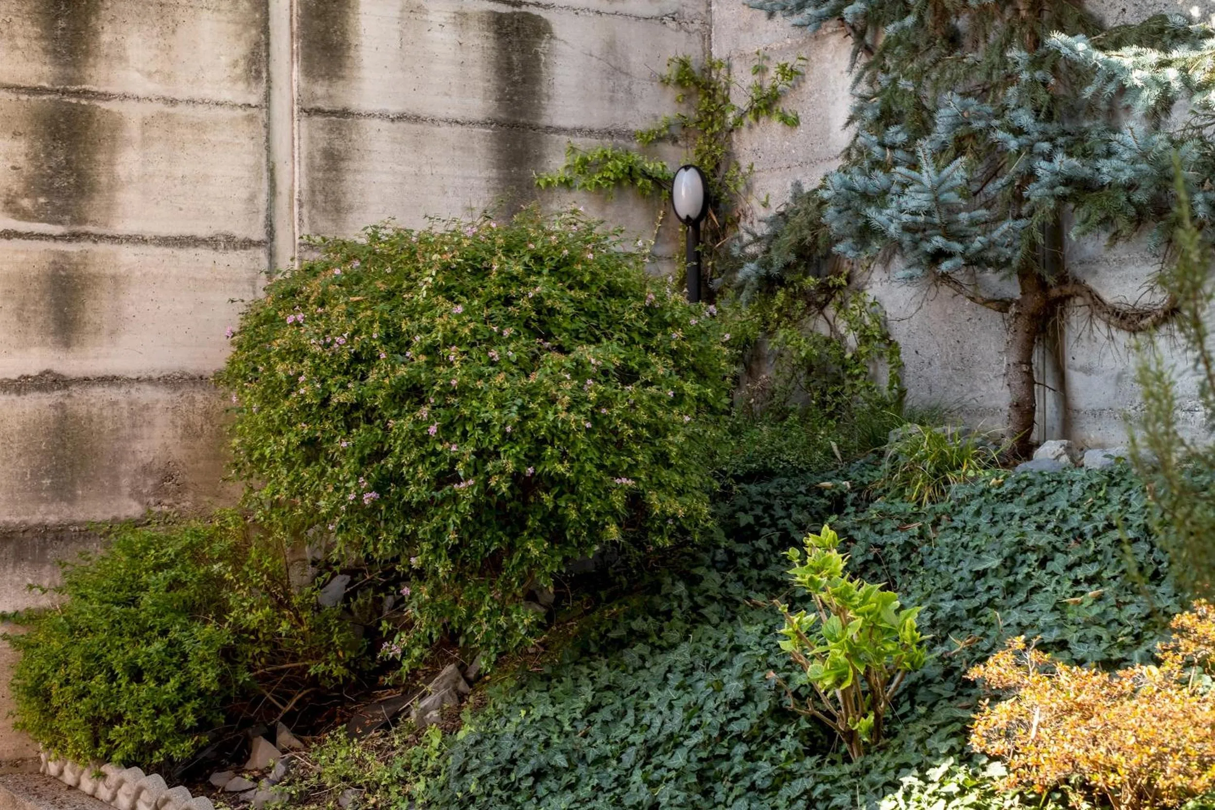 Other in La casa di Sarah