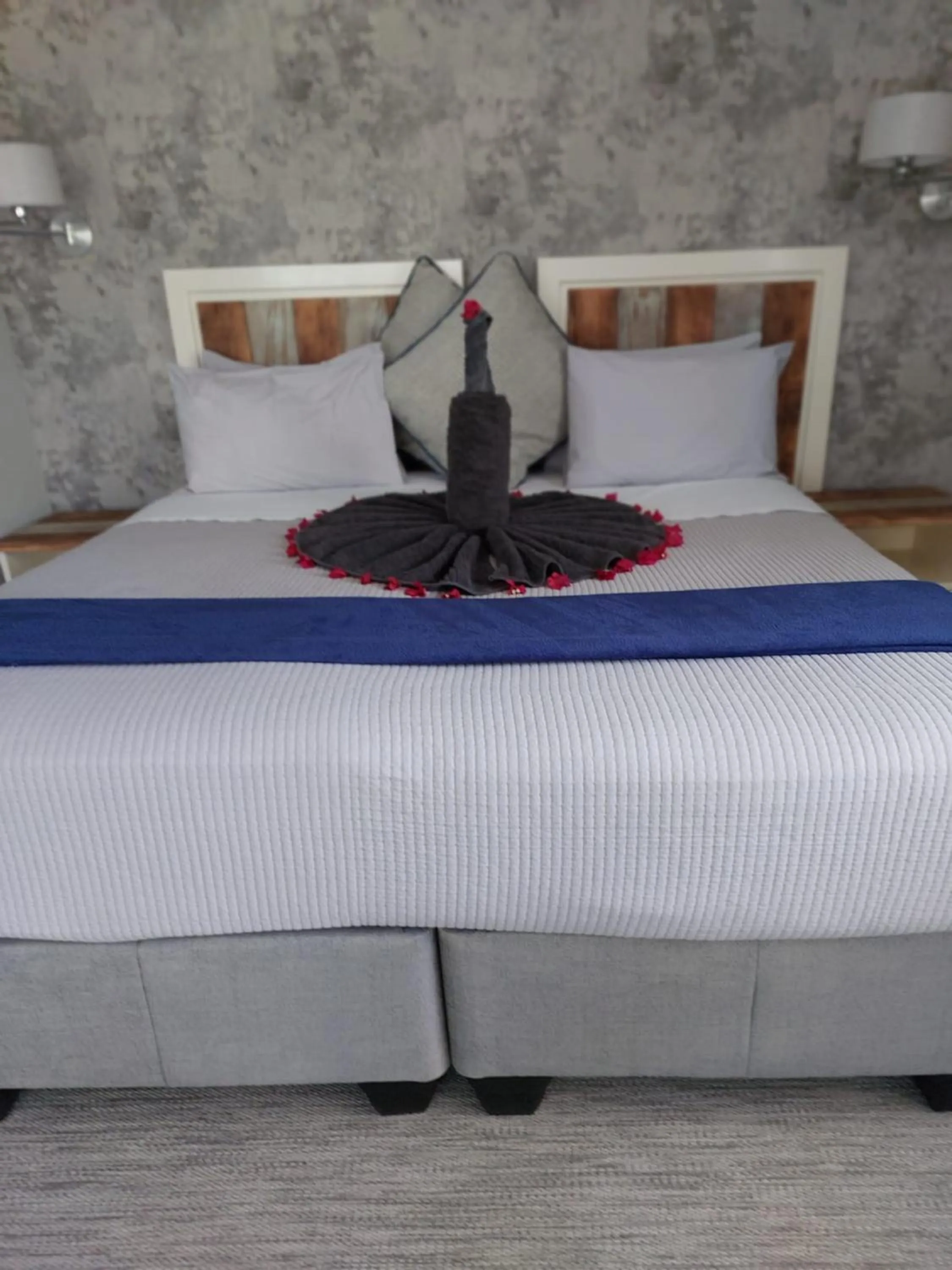 Bed in Mukumbura Lodge Bilene