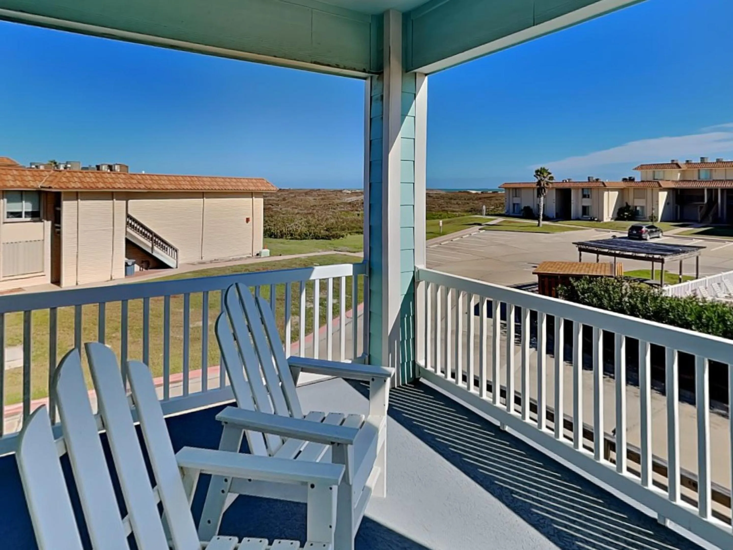 Day in Turtle Paradise