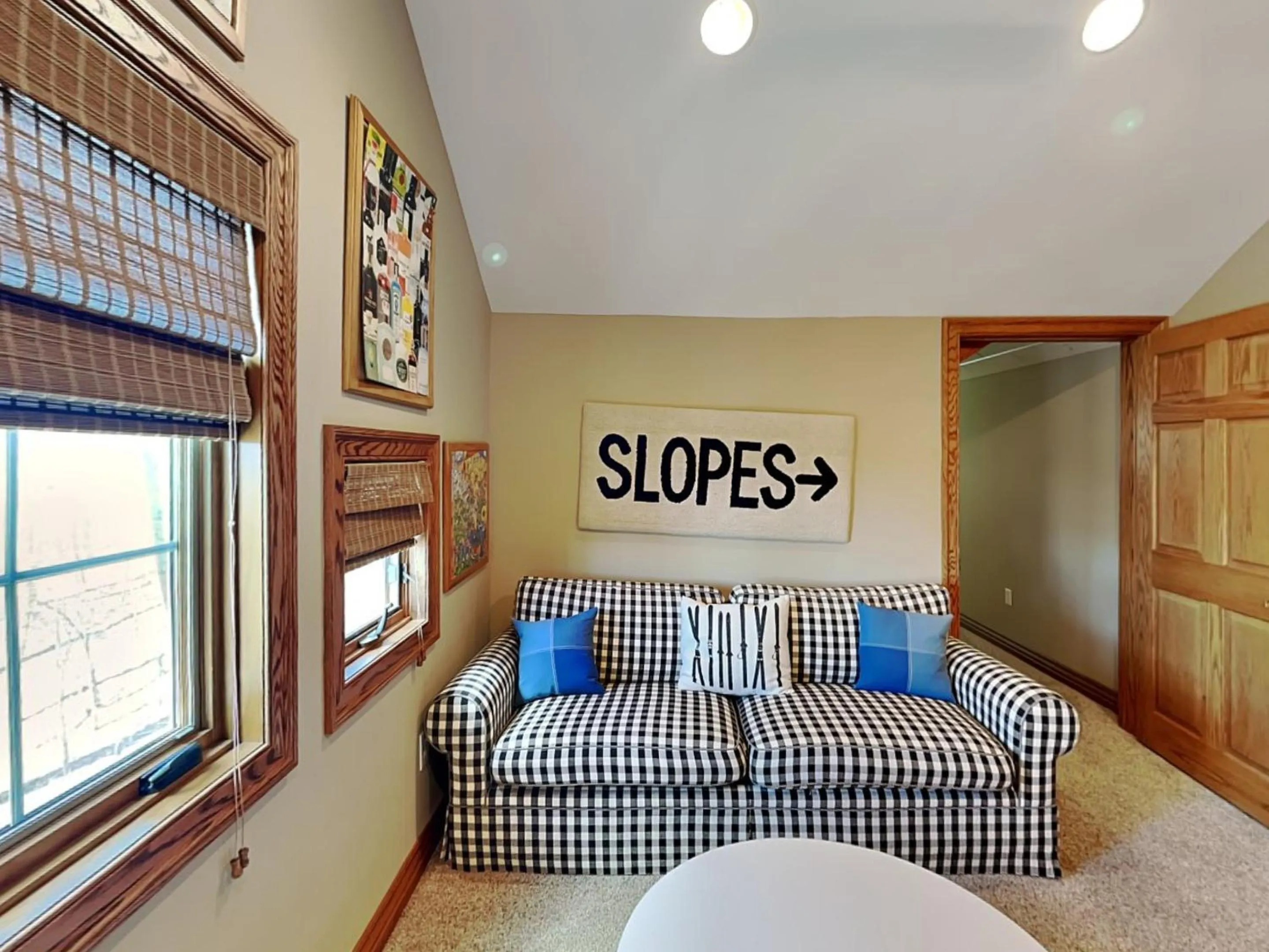 Stone Mountain Vista