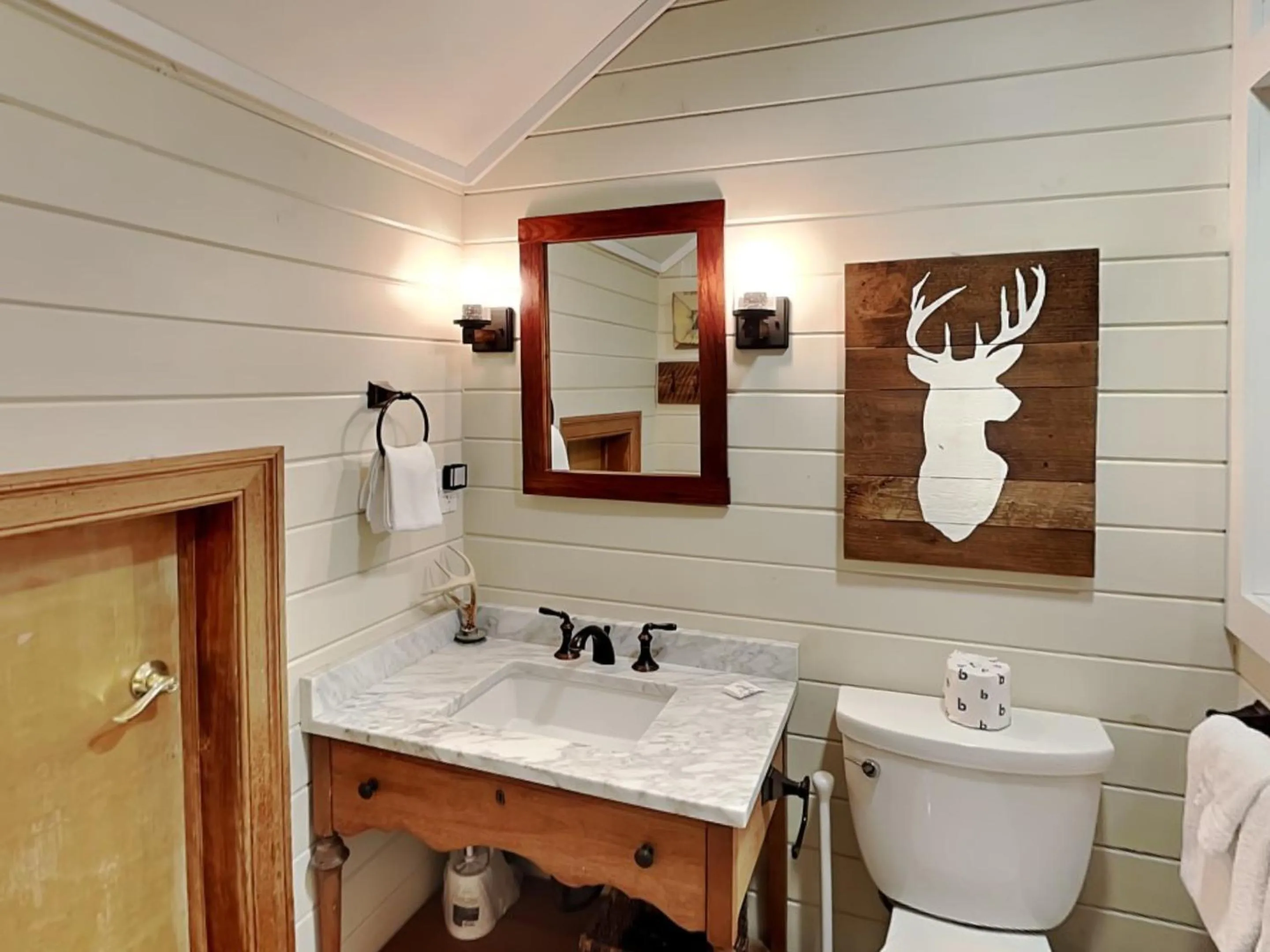 Stone Mountain Vista