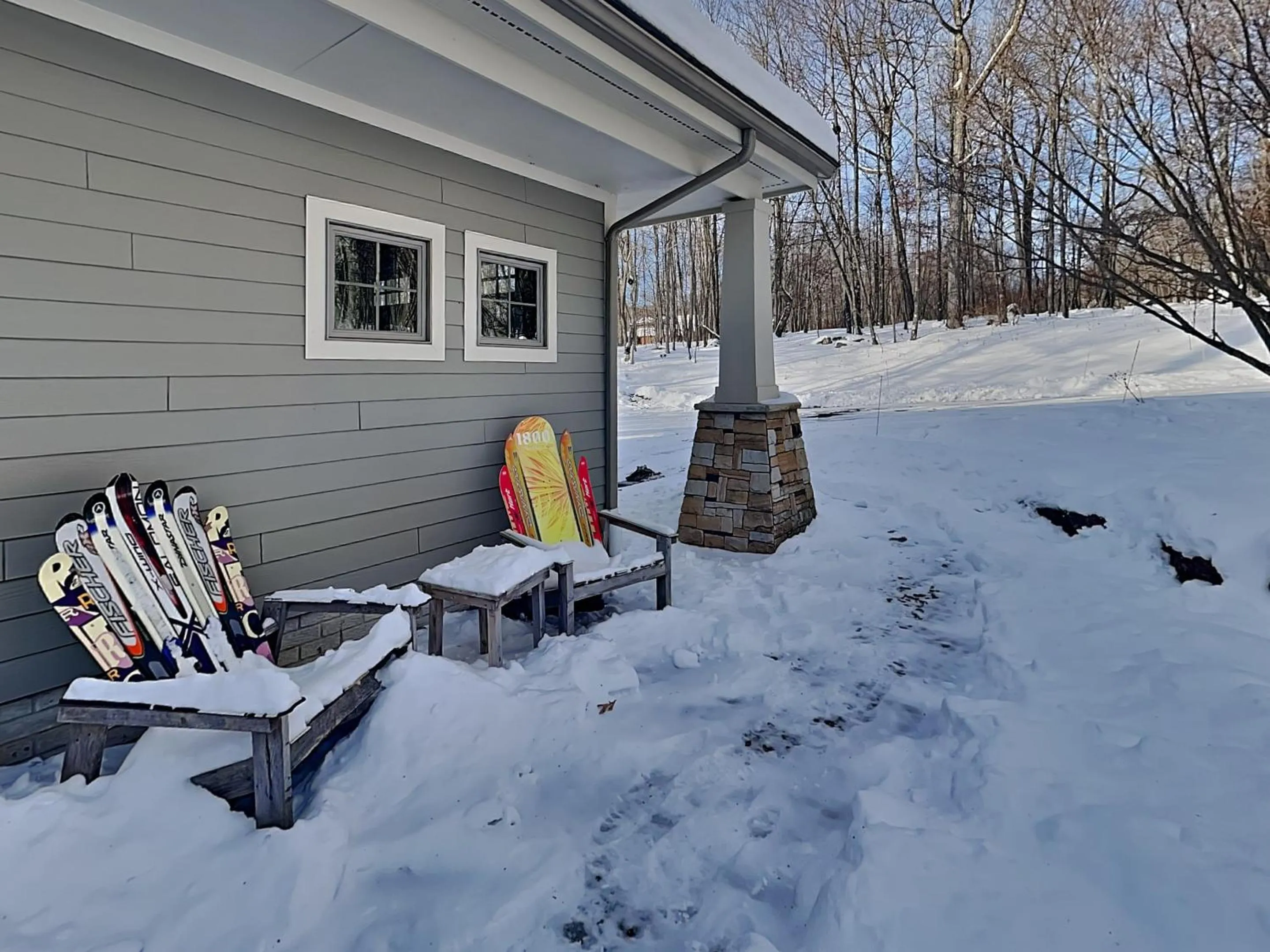 Stone Mountain Vista