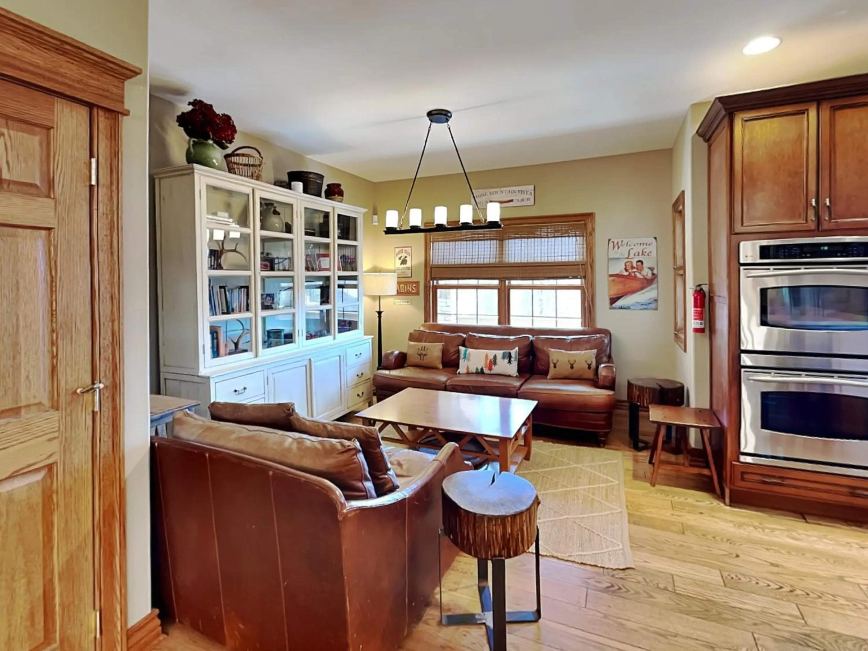 Stone Mountain Vista