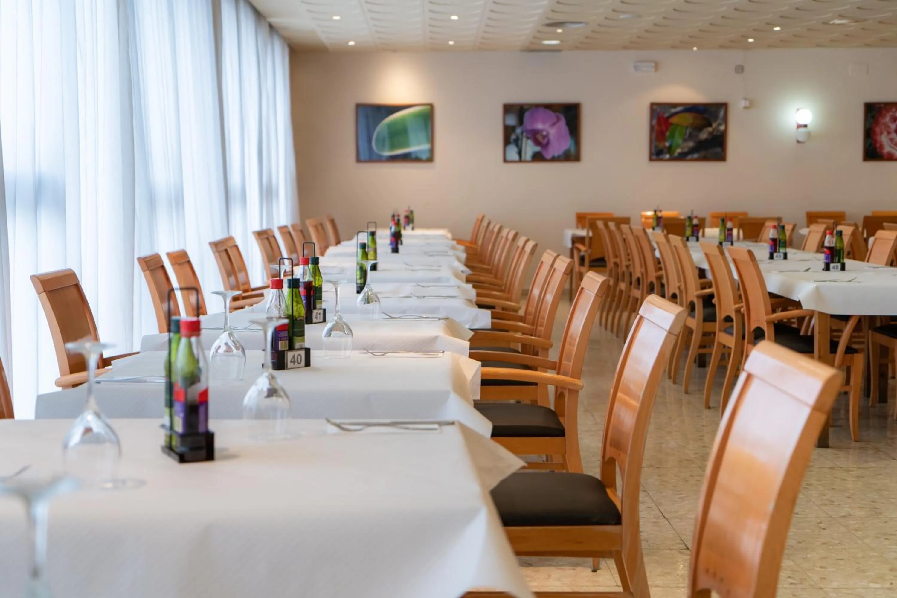 Restaurant/places to eat in Medplaya Hotel Santa Monica