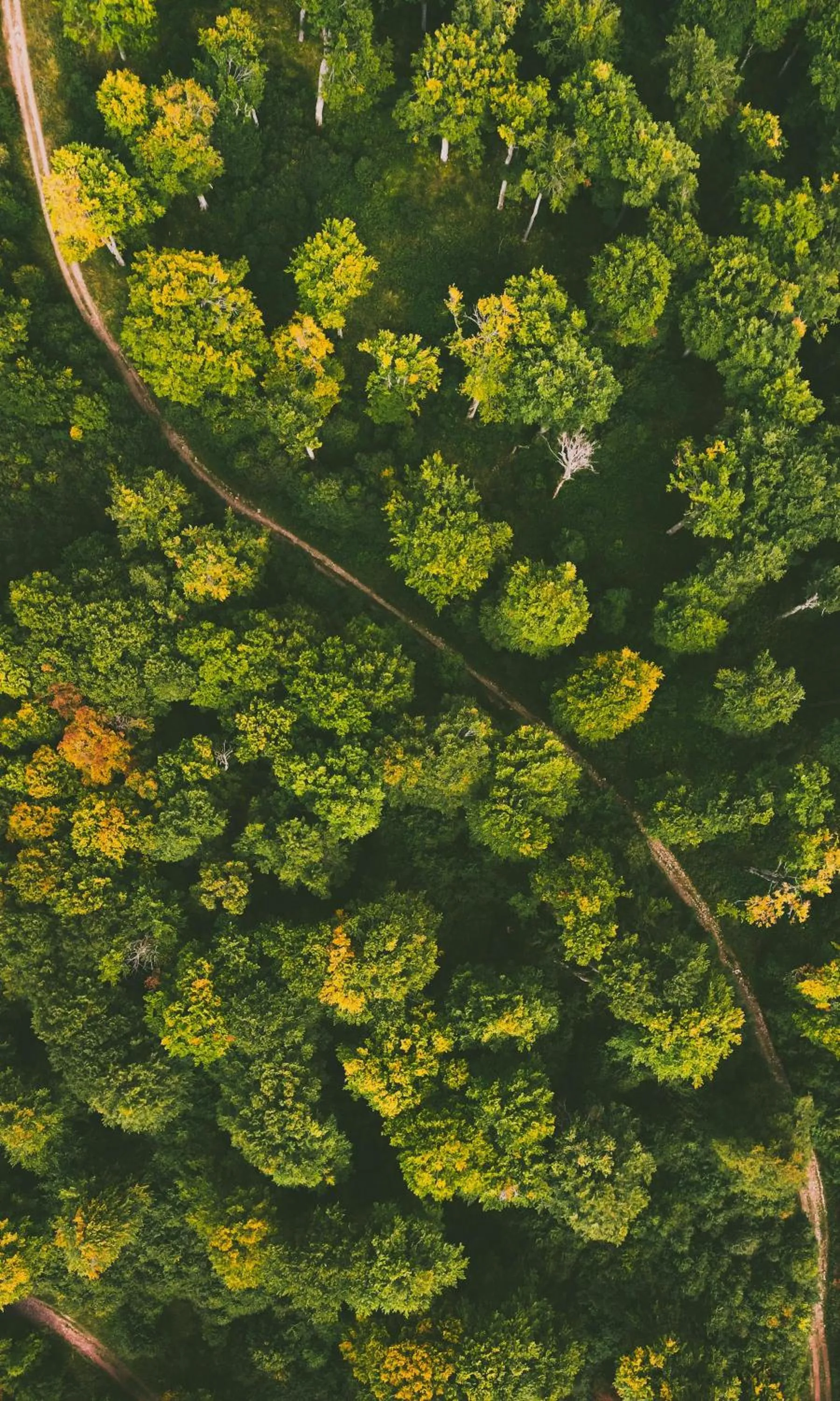 Nearby landmark in DORM BG pet-friendly Aparthotel