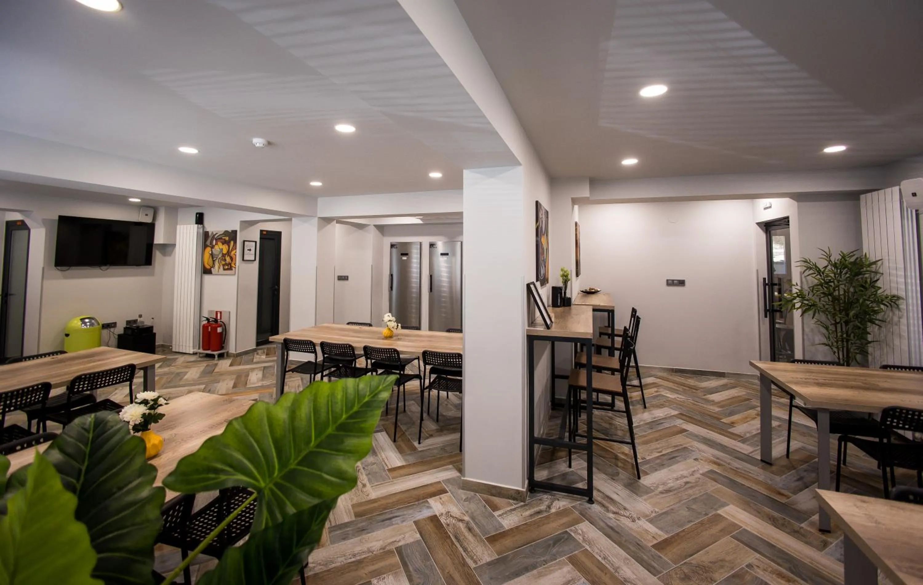 TV and multimedia in DORM BG pet-friendly Aparthotel