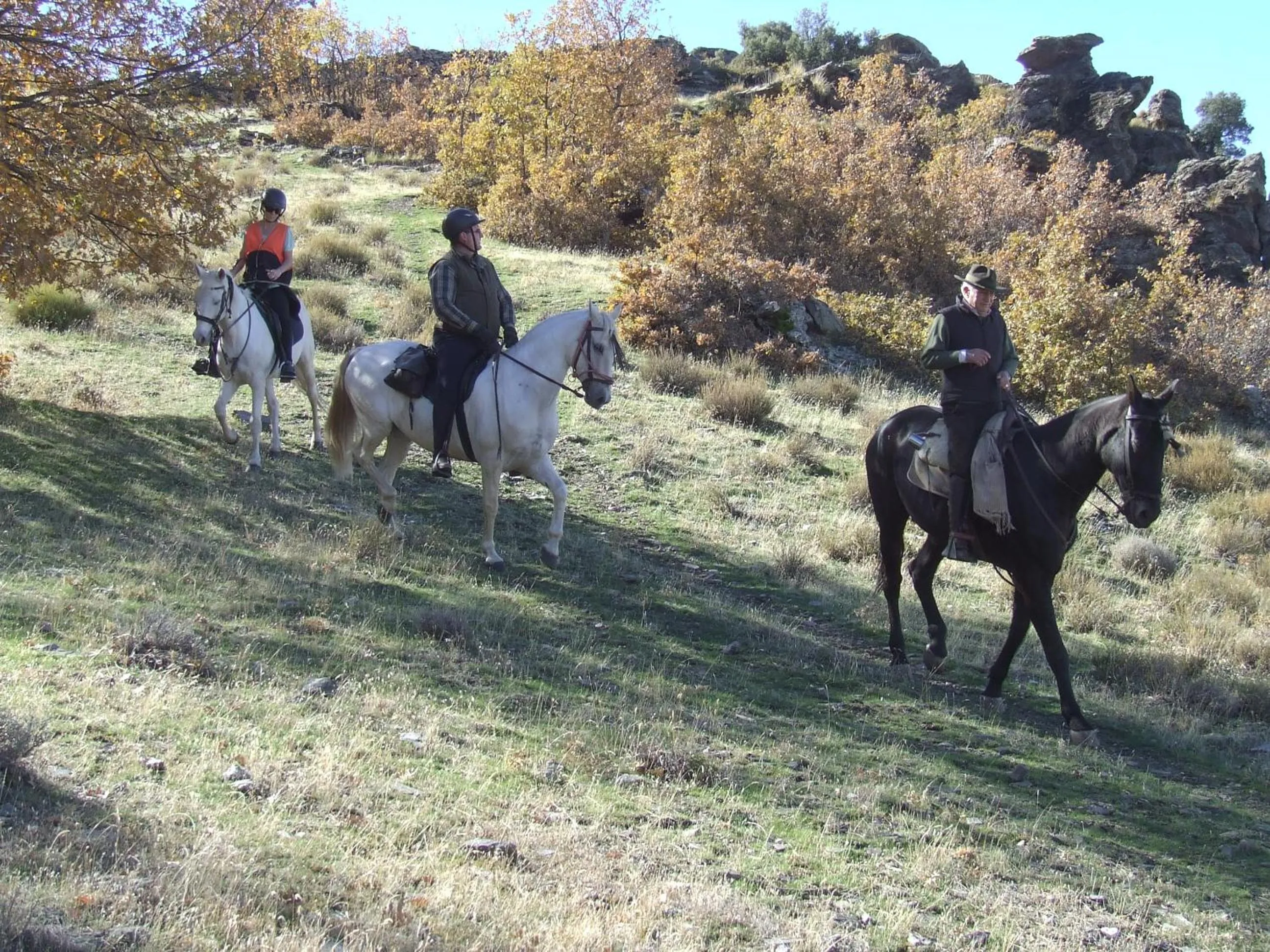 Horse-riding in Hotel Juan Francisco