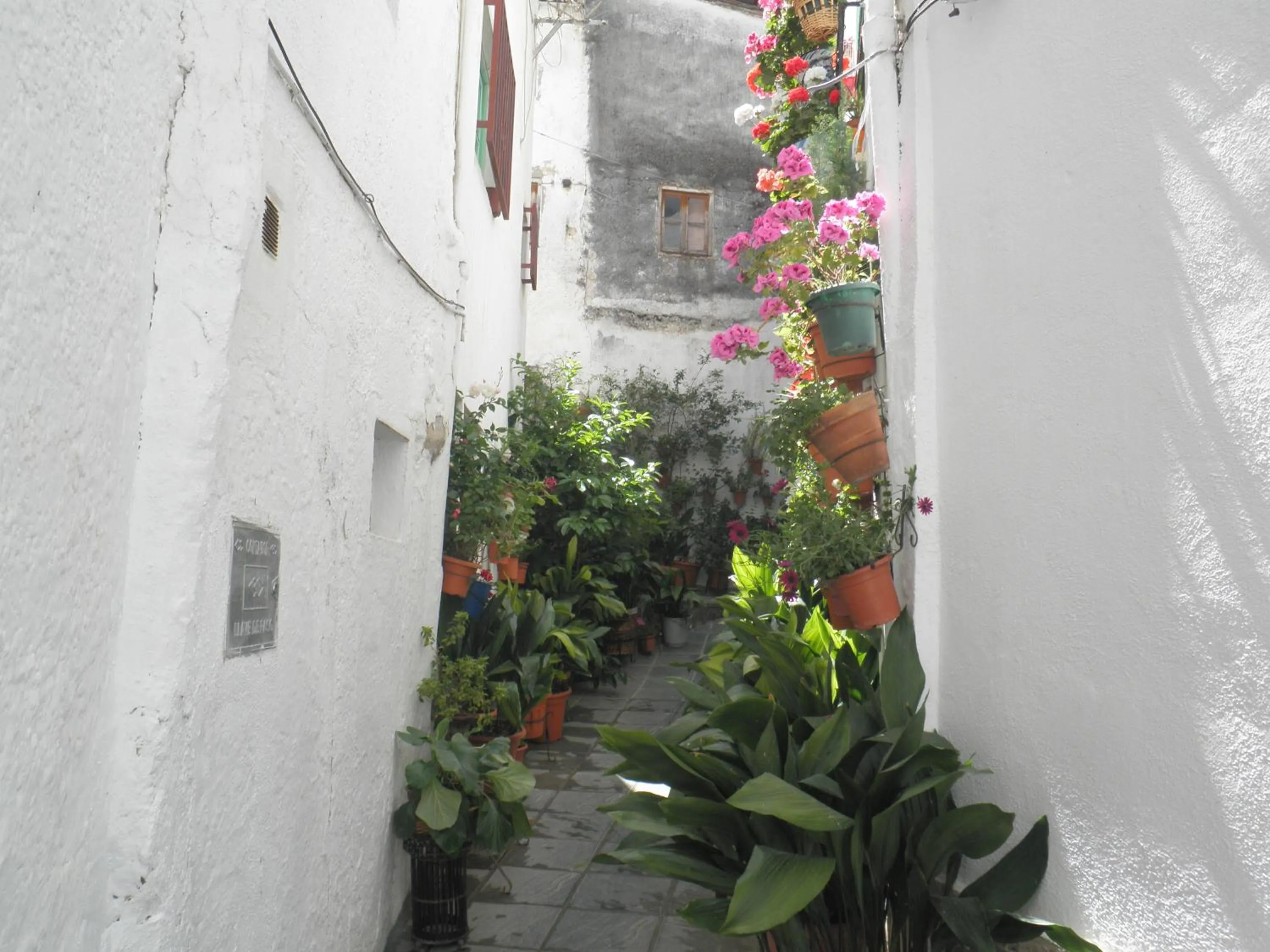 Nearby landmark in Hotel Juan Francisco