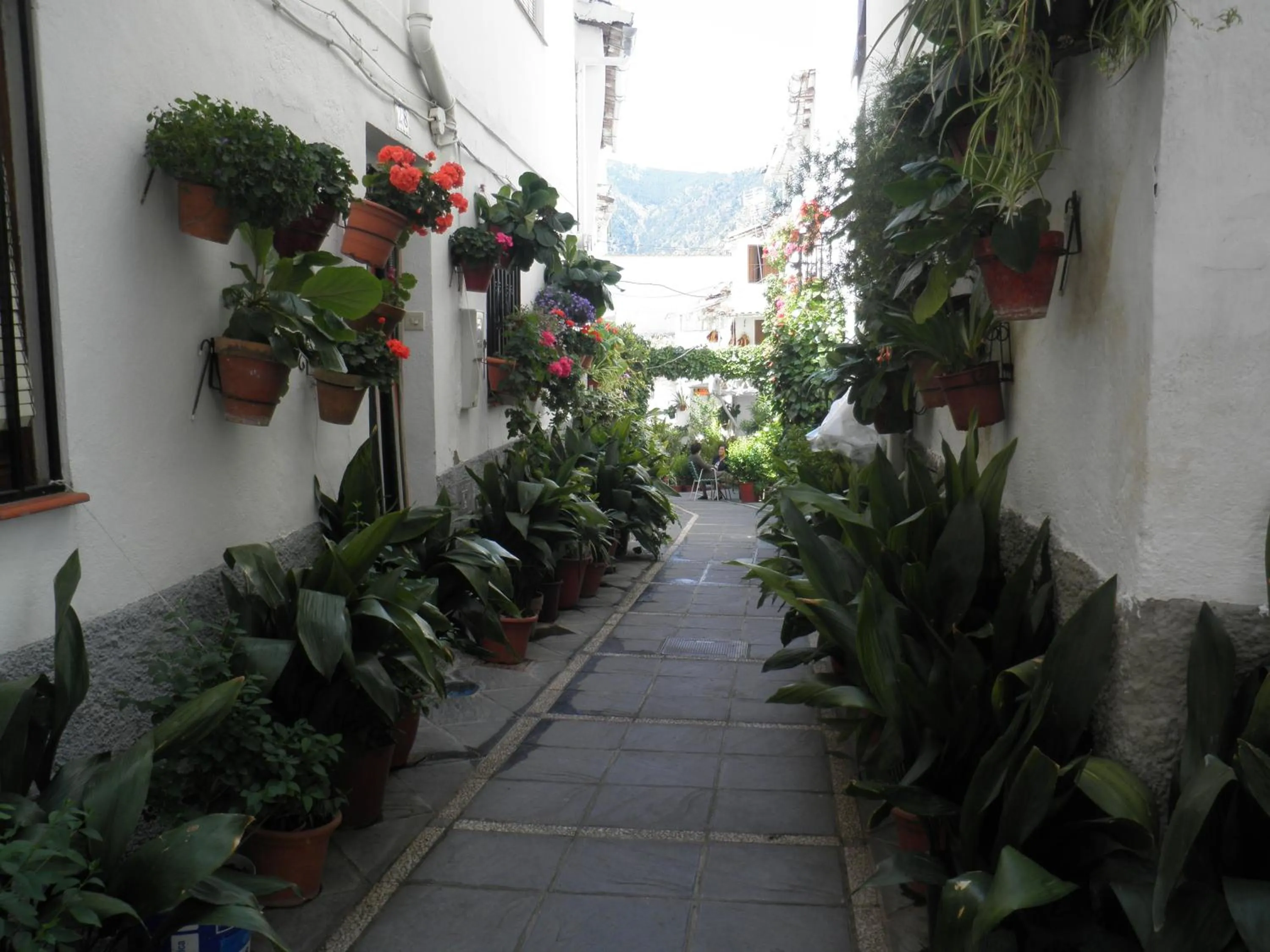 Nearby landmark in Hotel Juan Francisco