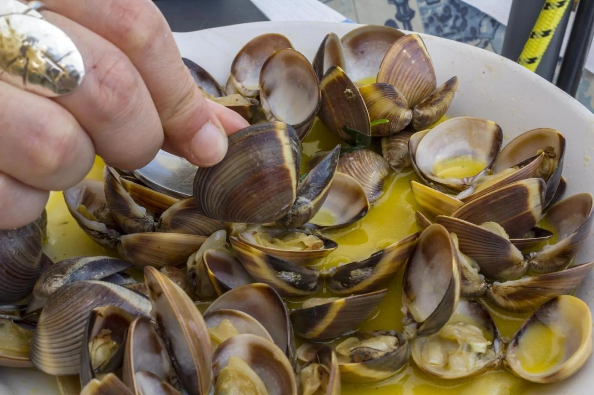 Floor plan in Maritime Discovery Apartment