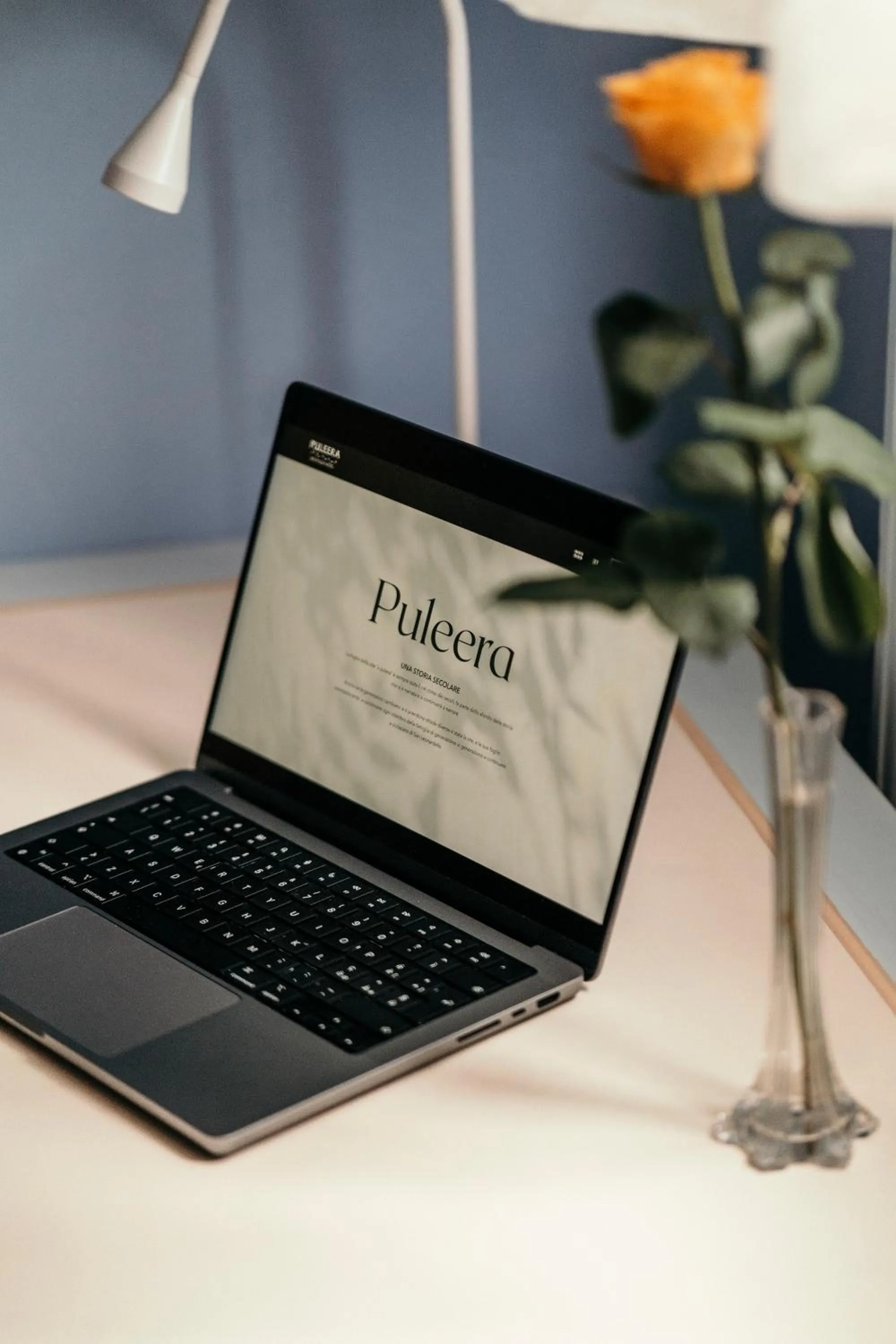 TV and multimedia in Puleera Boutique Hotel