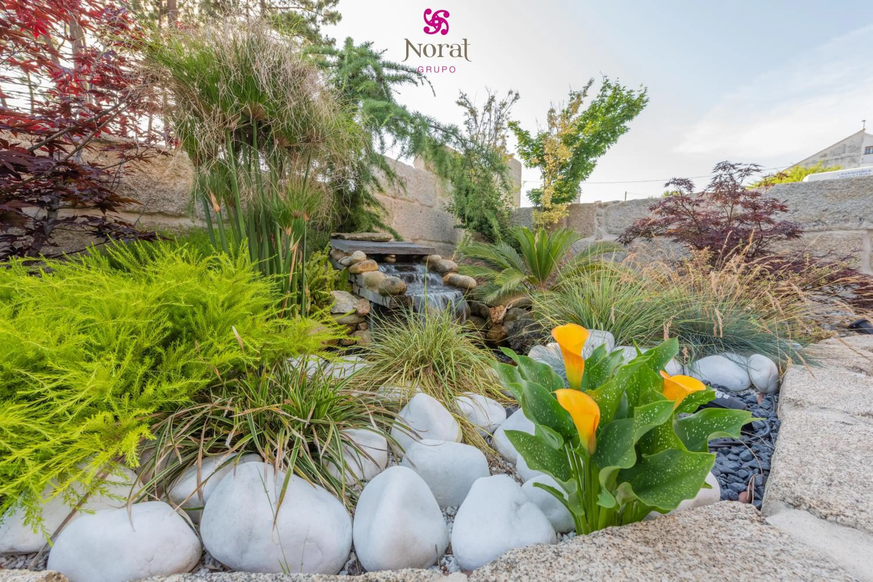Garden in Nuevo Norat Sanxenxo