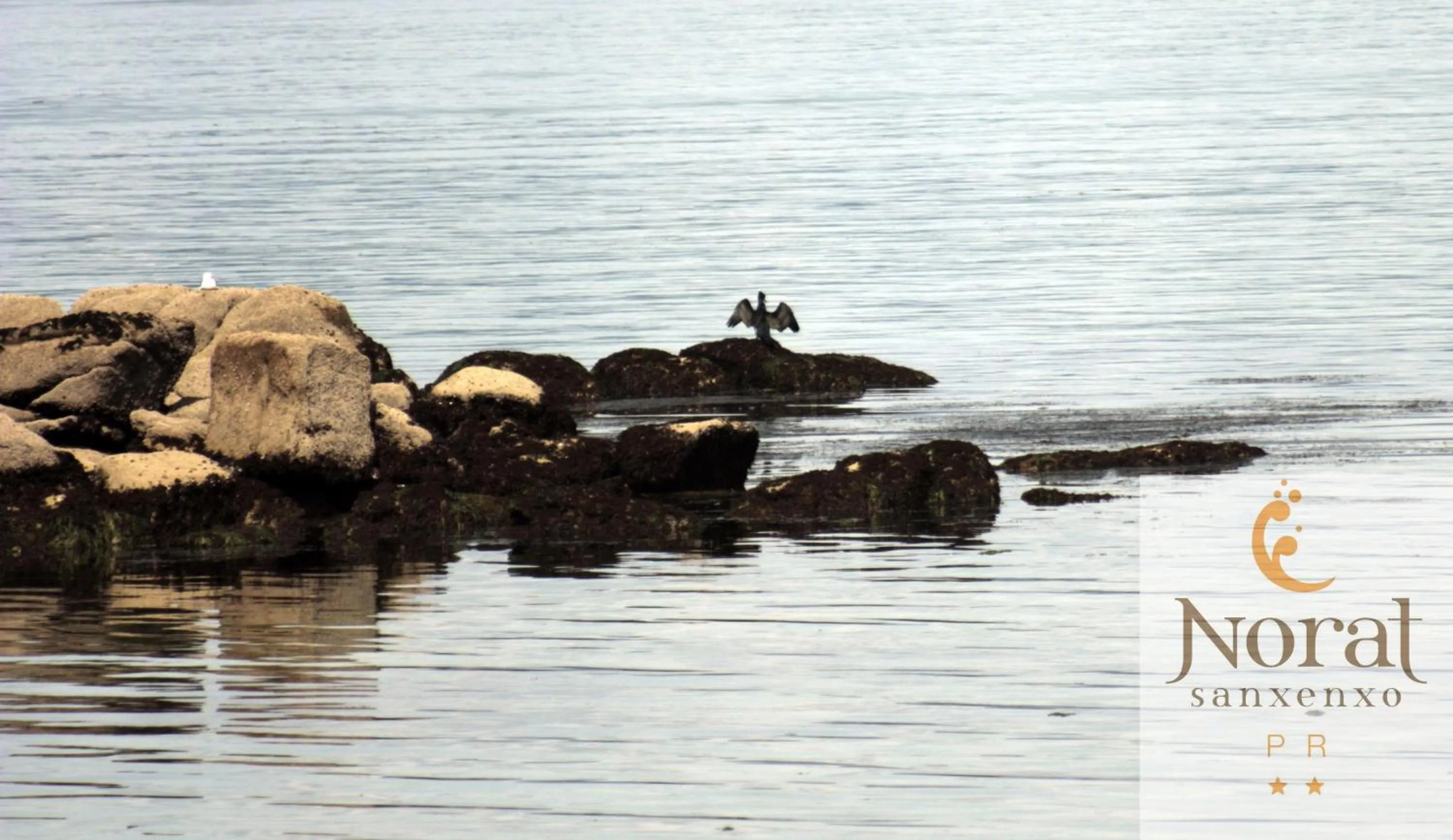 Other in Nuevo Norat Sanxenxo