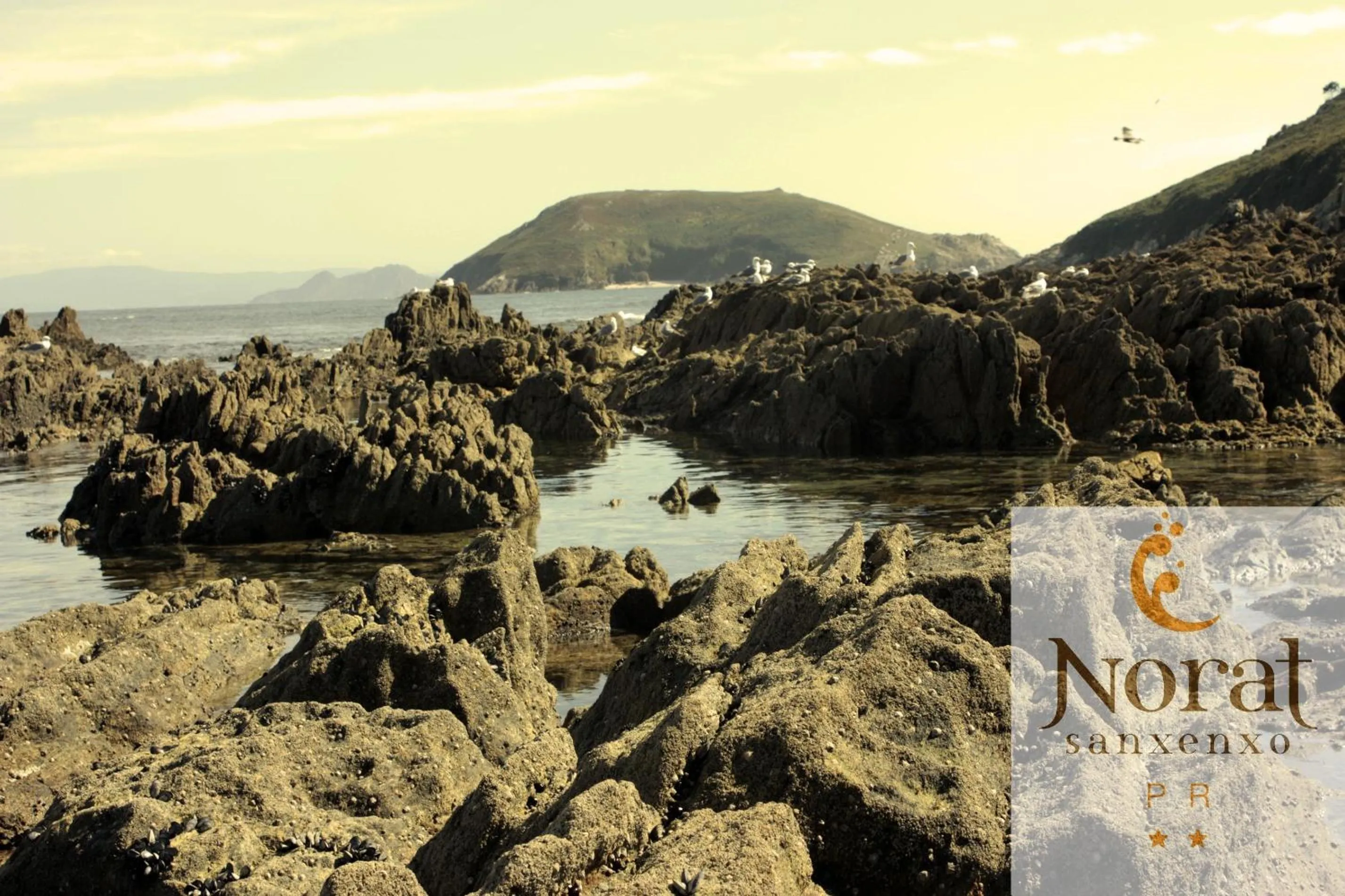 Other in Nuevo Norat Sanxenxo