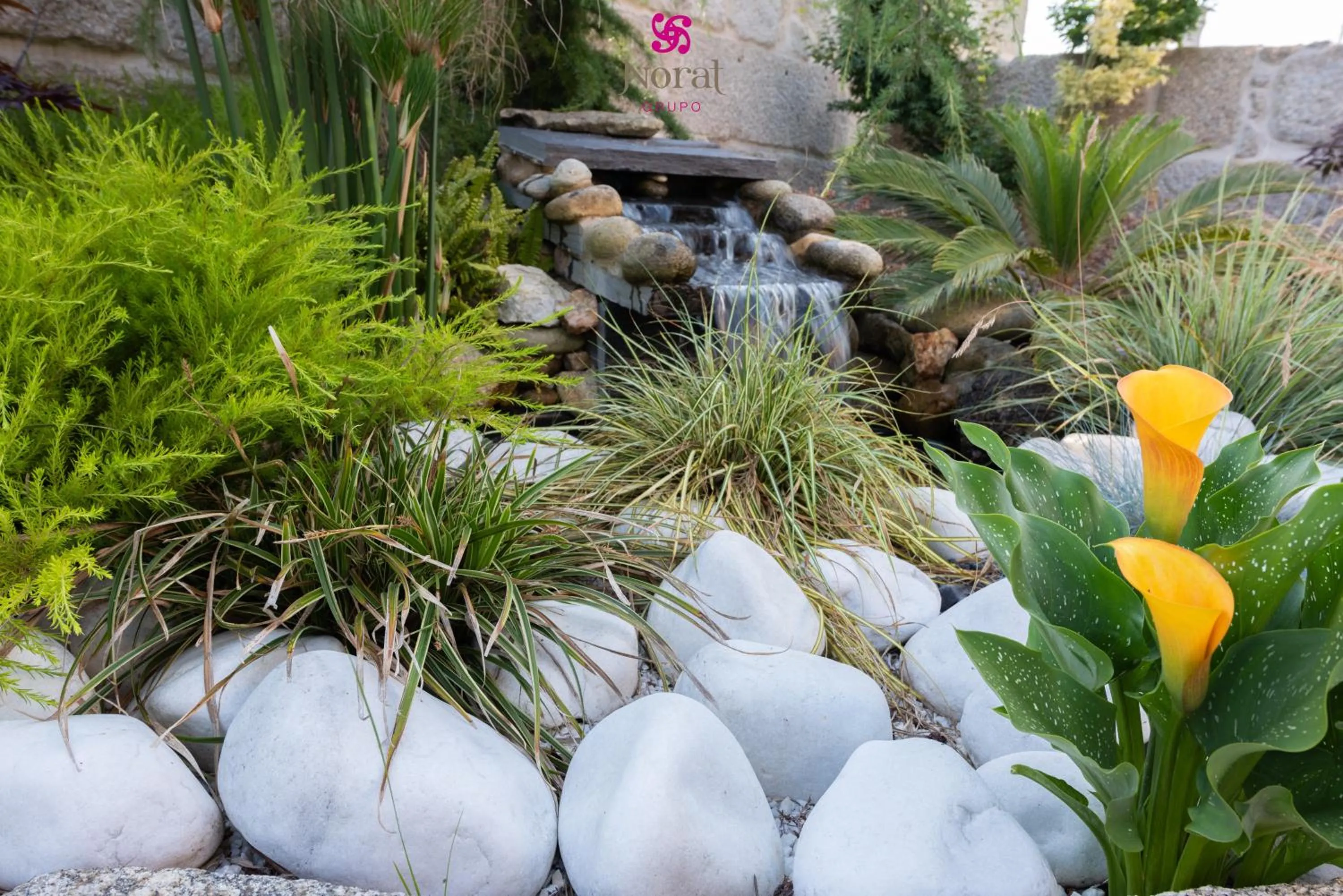 Garden in Nuevo Norat Sanxenxo