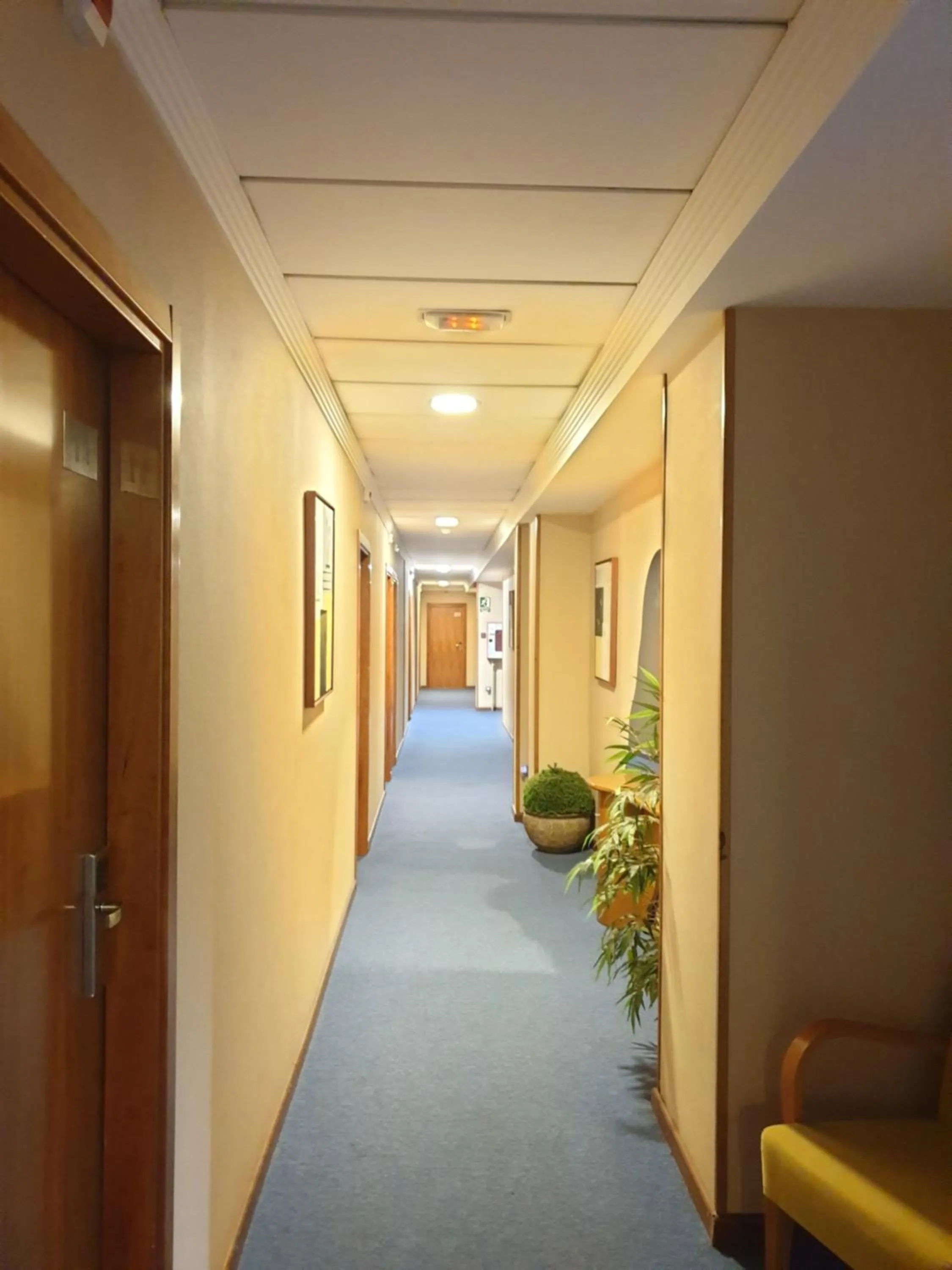 Area and facilities in Hotel Suite Camarena
