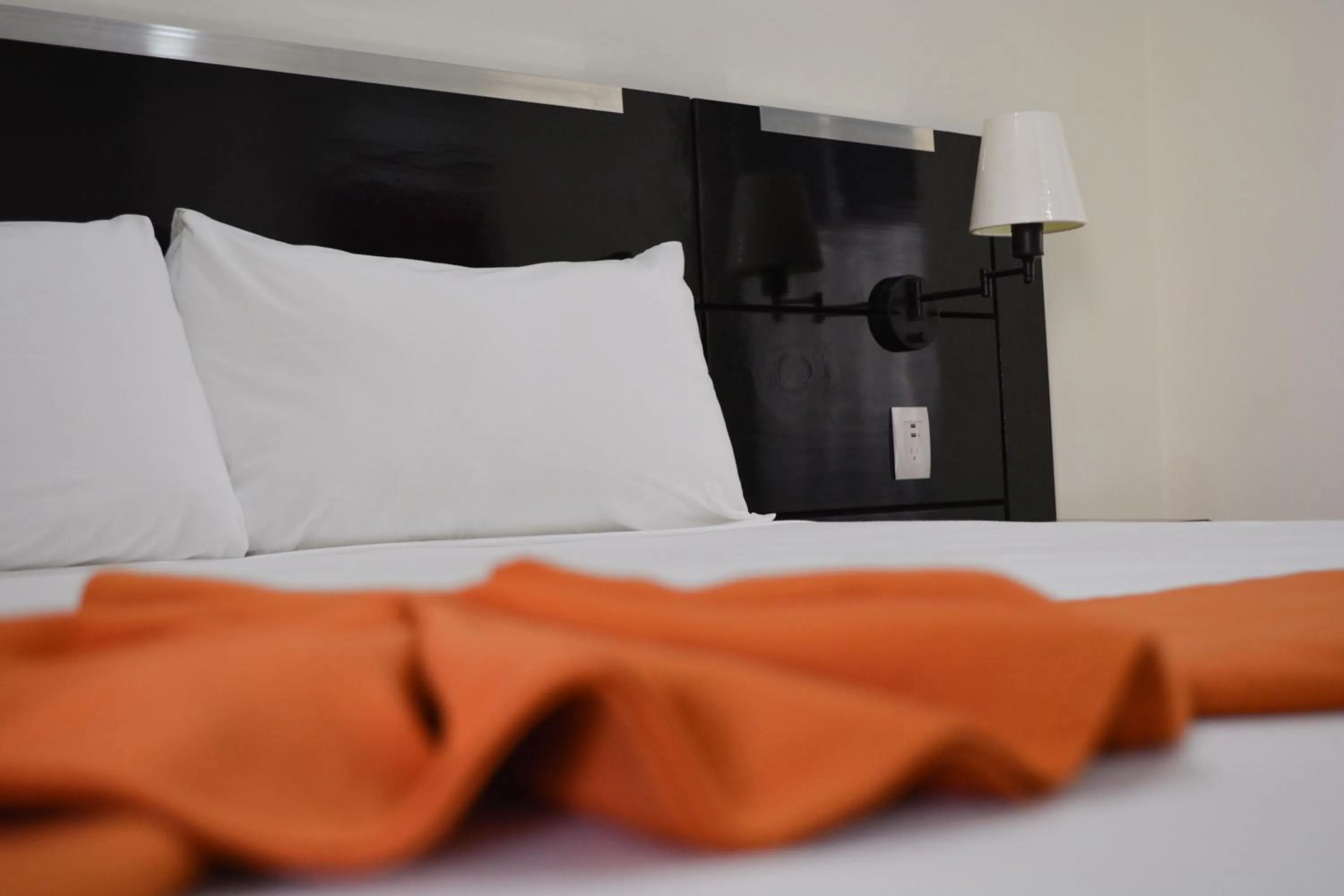 Brisa Color Esmeralda