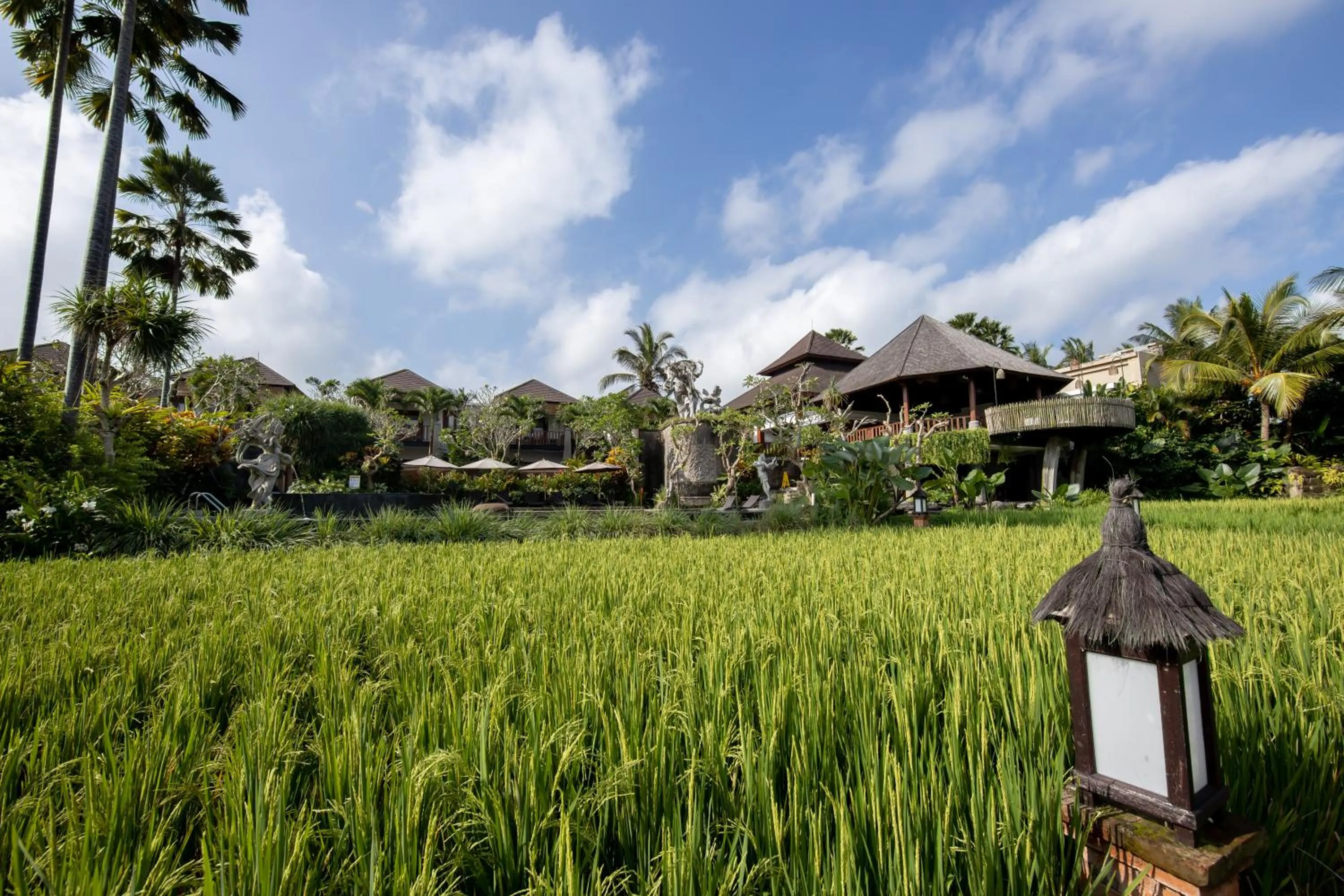 View (from property/room) in Anumana Village Ubud