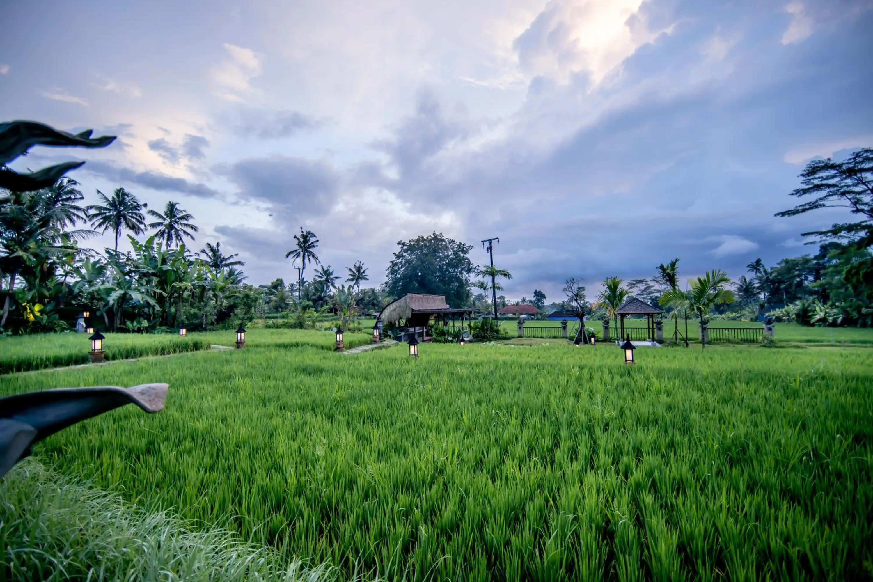 View (from property/room) in Anumana Village Ubud