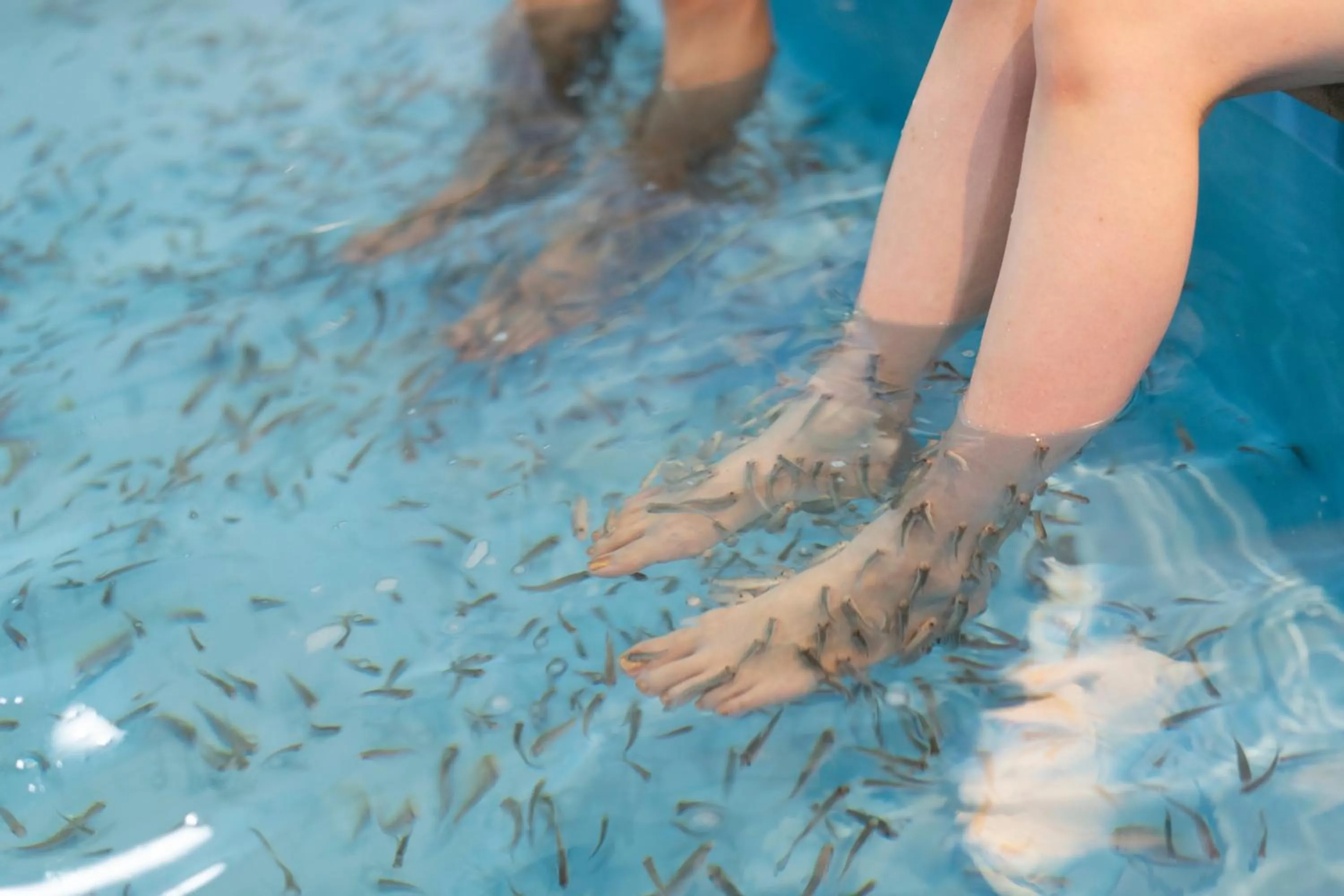 Swimming pool in Hakone Kowakien Hotel