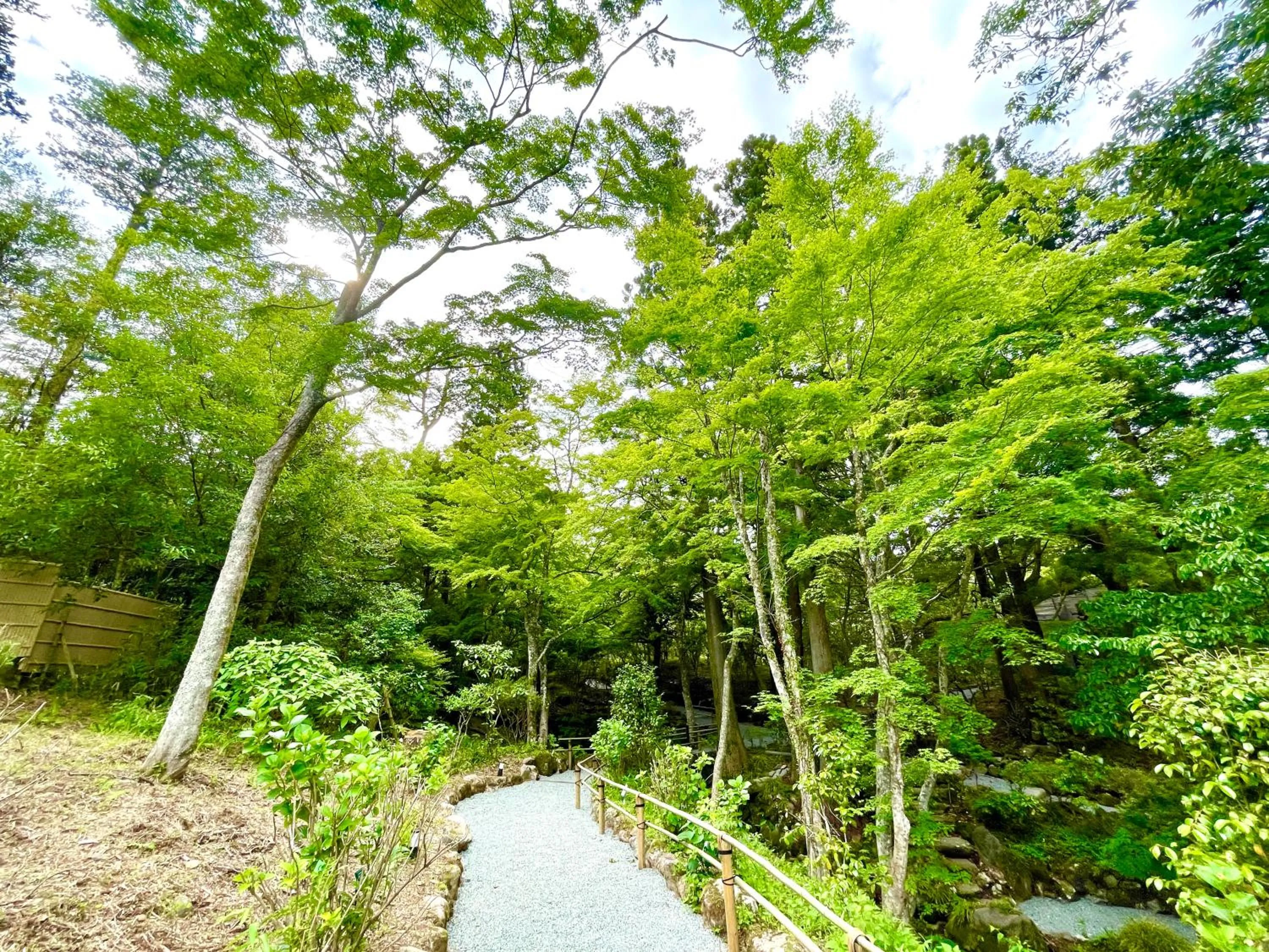 Natural landscape in Hakone Kowakien Hotel