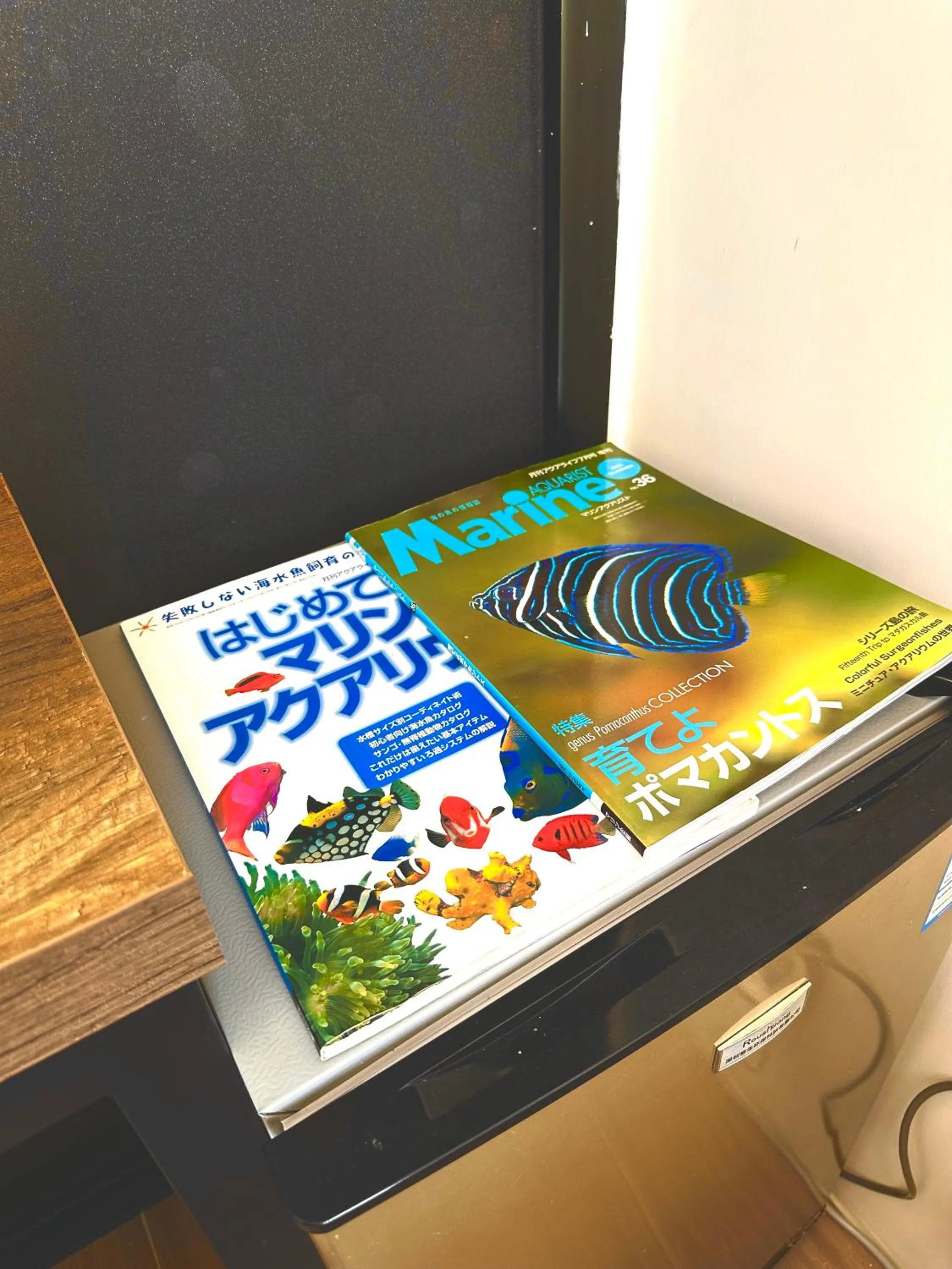 Other in 木居 Woody House