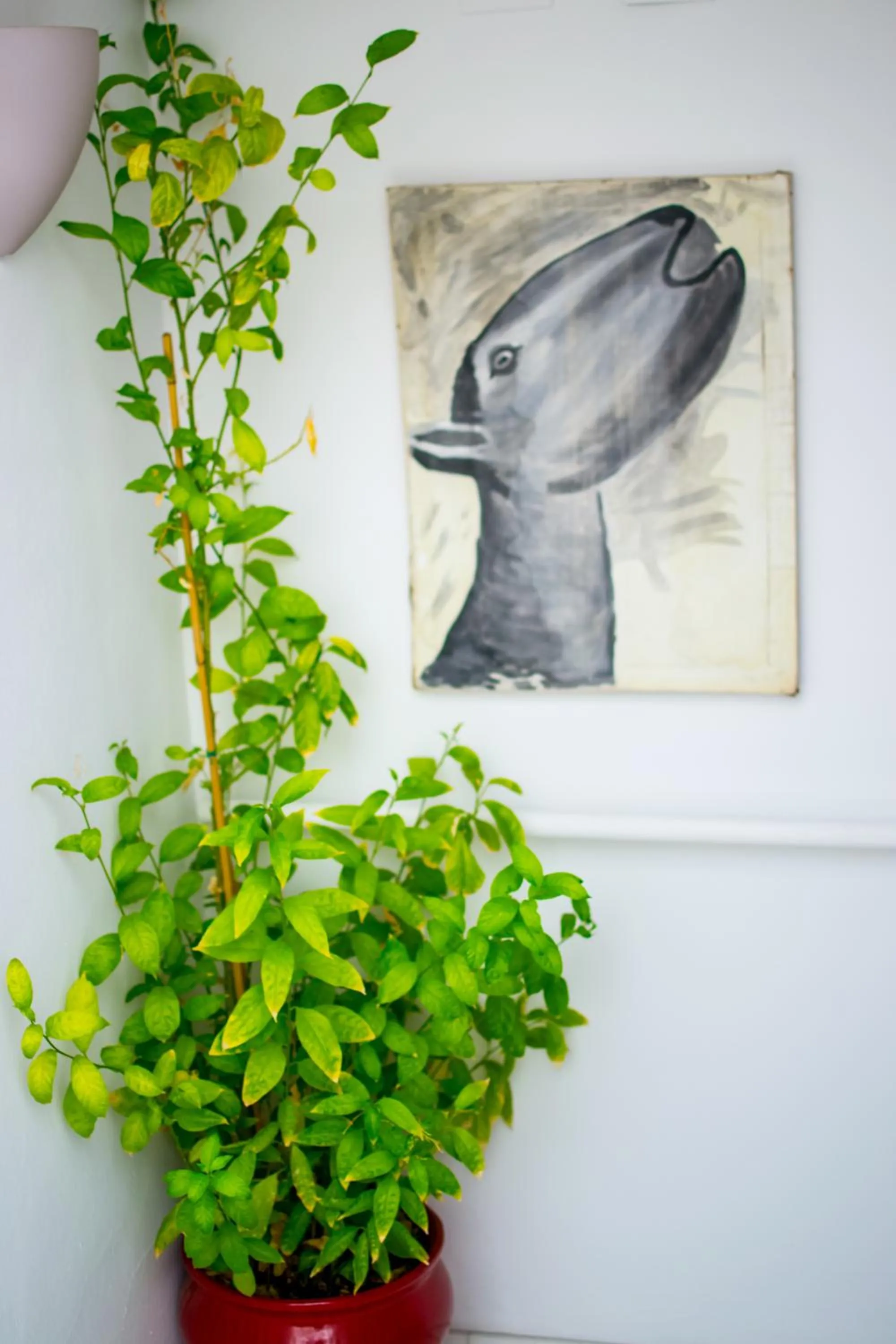 Decorative detail in Un Patio en Santa Cruz