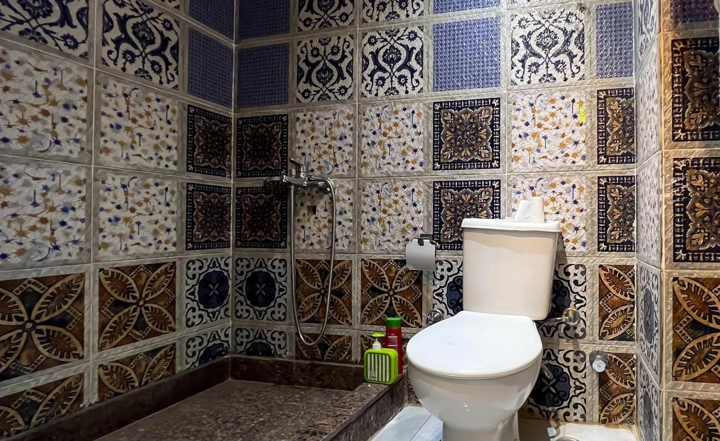 Toilet in Osiris pyramids view inn